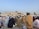 A large group of people are gathered for a prayer session outside a mosque. Most are wearing traditional attire and caps, and they are seated on patterned prayer rugs. The mosque, with its ornate design and minarets, is visible in the background under a clear blue sky. Buildings and palm trees can also be seen in the distance.