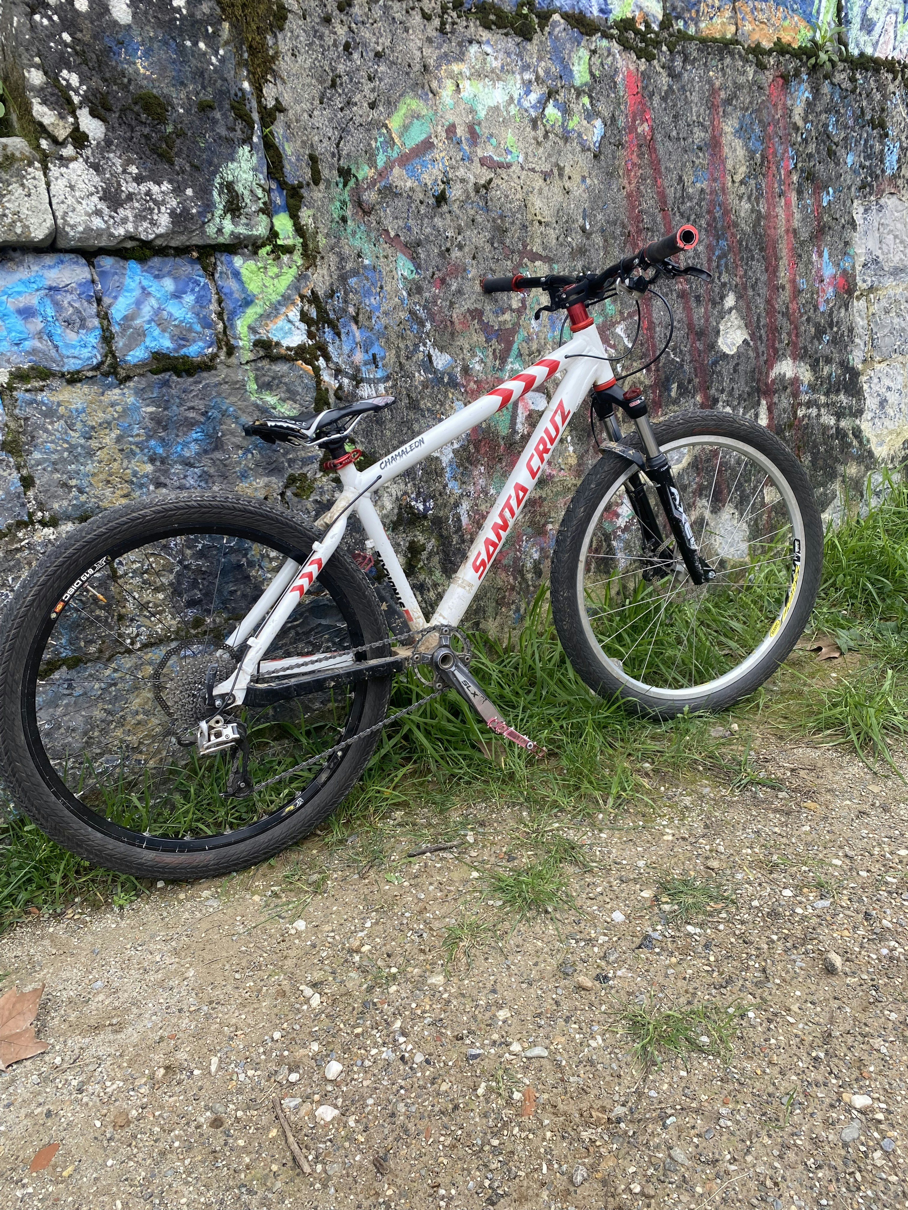 Descubre el Mundo de las Bicicletas Scott: Innovación y Rendimiento