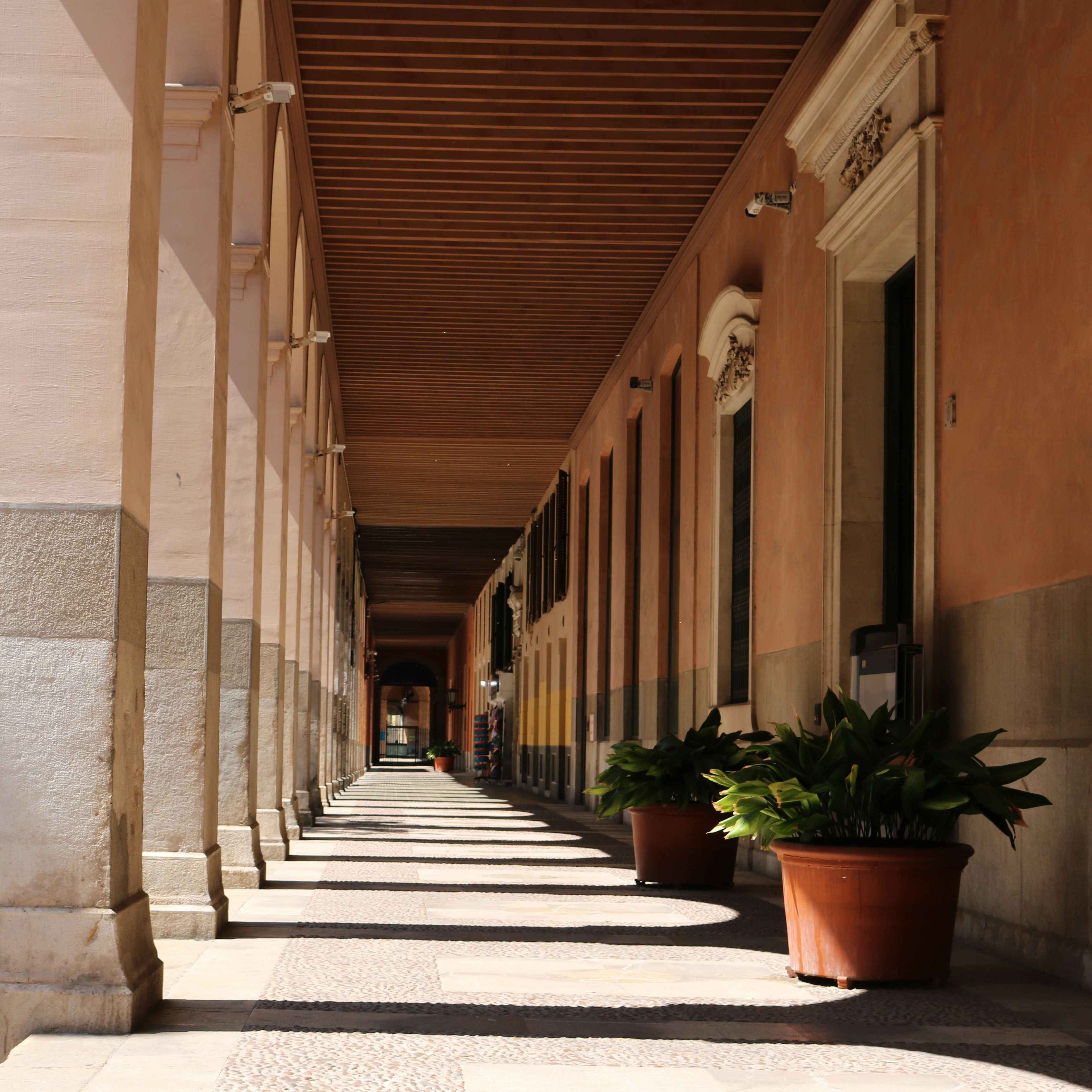 a row of planters sitting on the side of a building