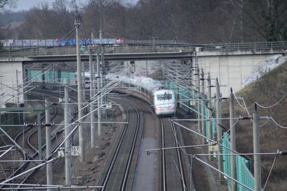 A high-speed train travels on a railway track beneath a bridge surrounded by multiple electric poles. The train is white with red stripes, moving through a wooded area, with graffiti visible on the bridge. The scene is overcast with bare trees lining the horizon.