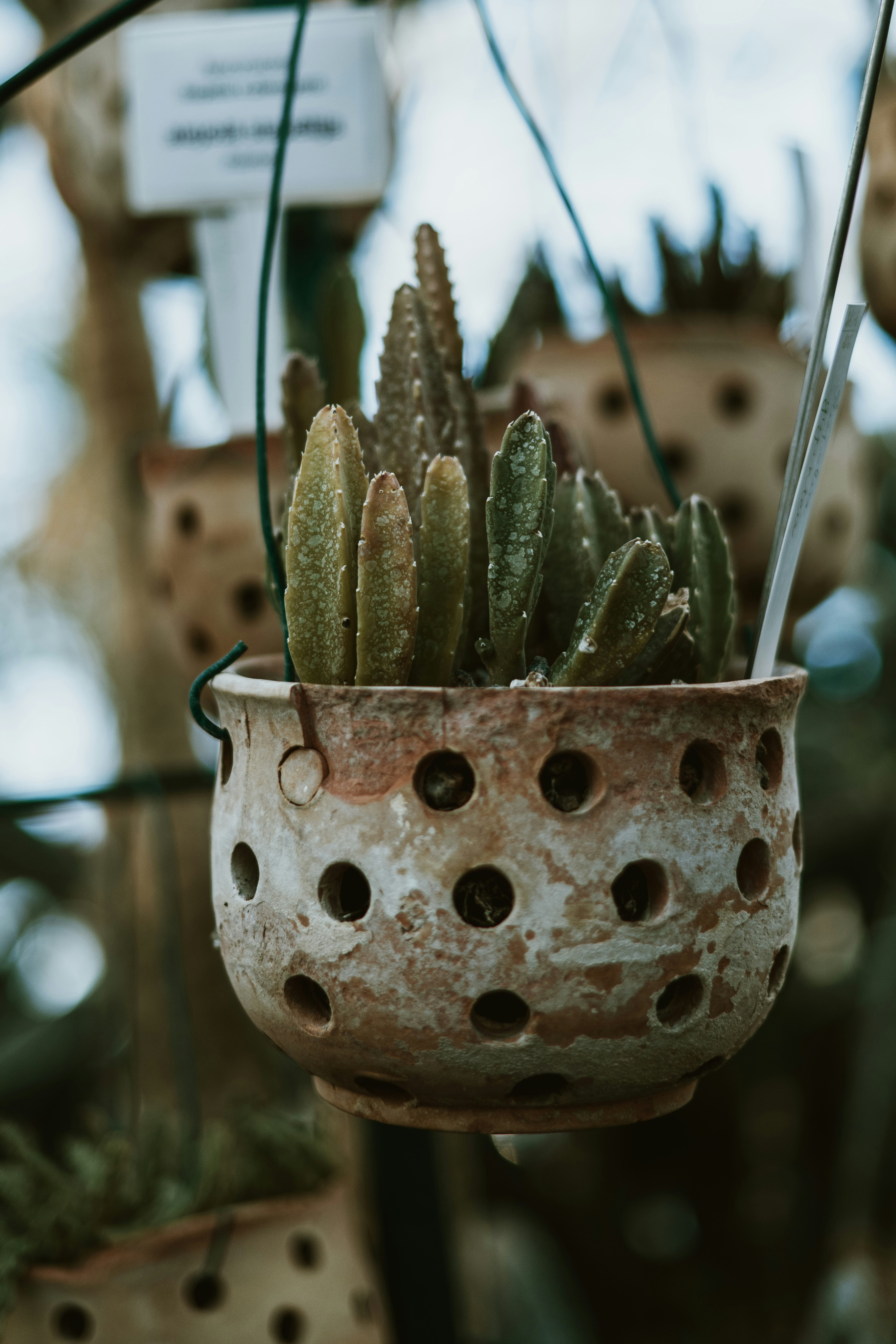 Photo by anitaaustvika