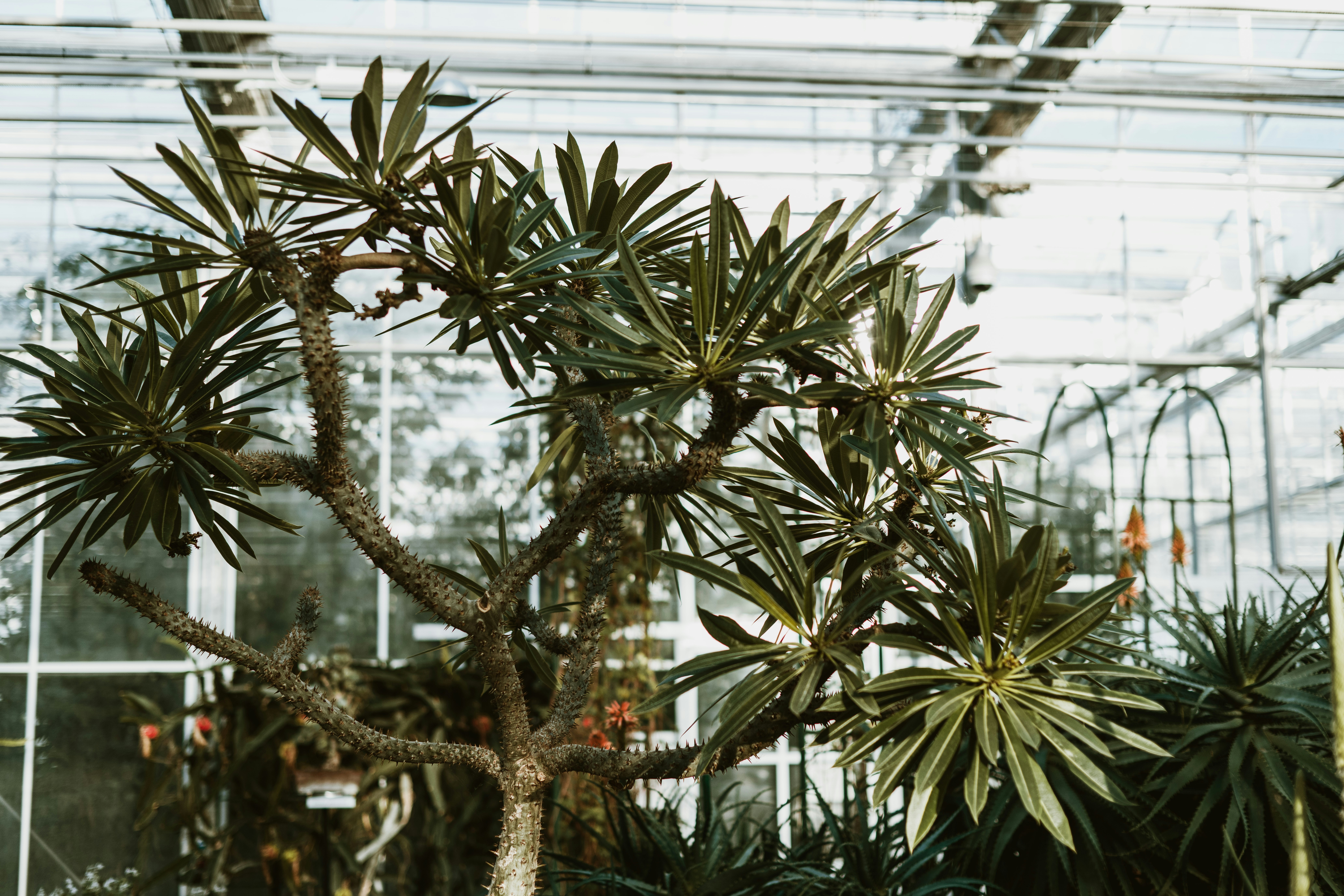 Photo by anitaaustvika