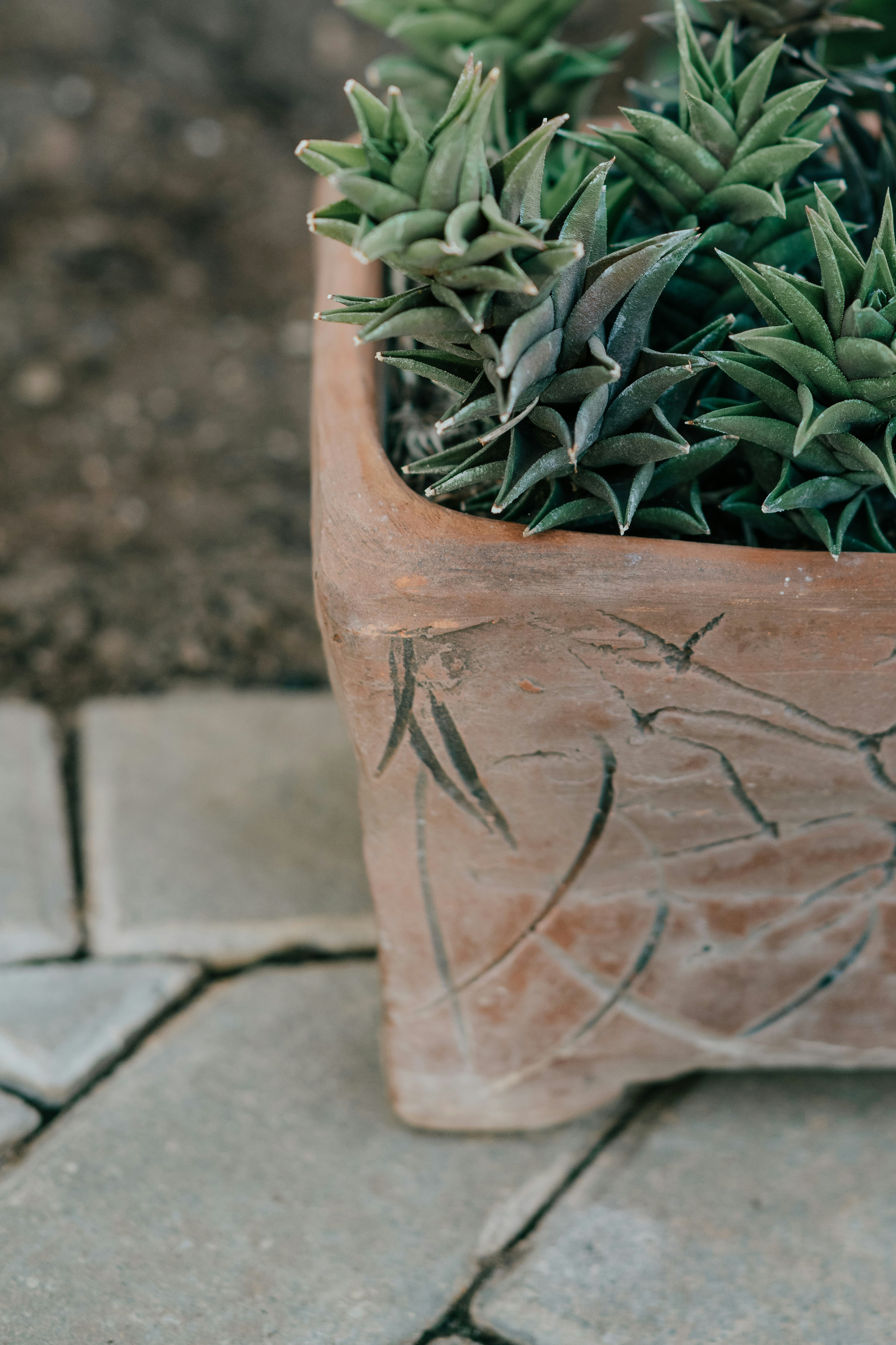 Photo by anitaaustvika