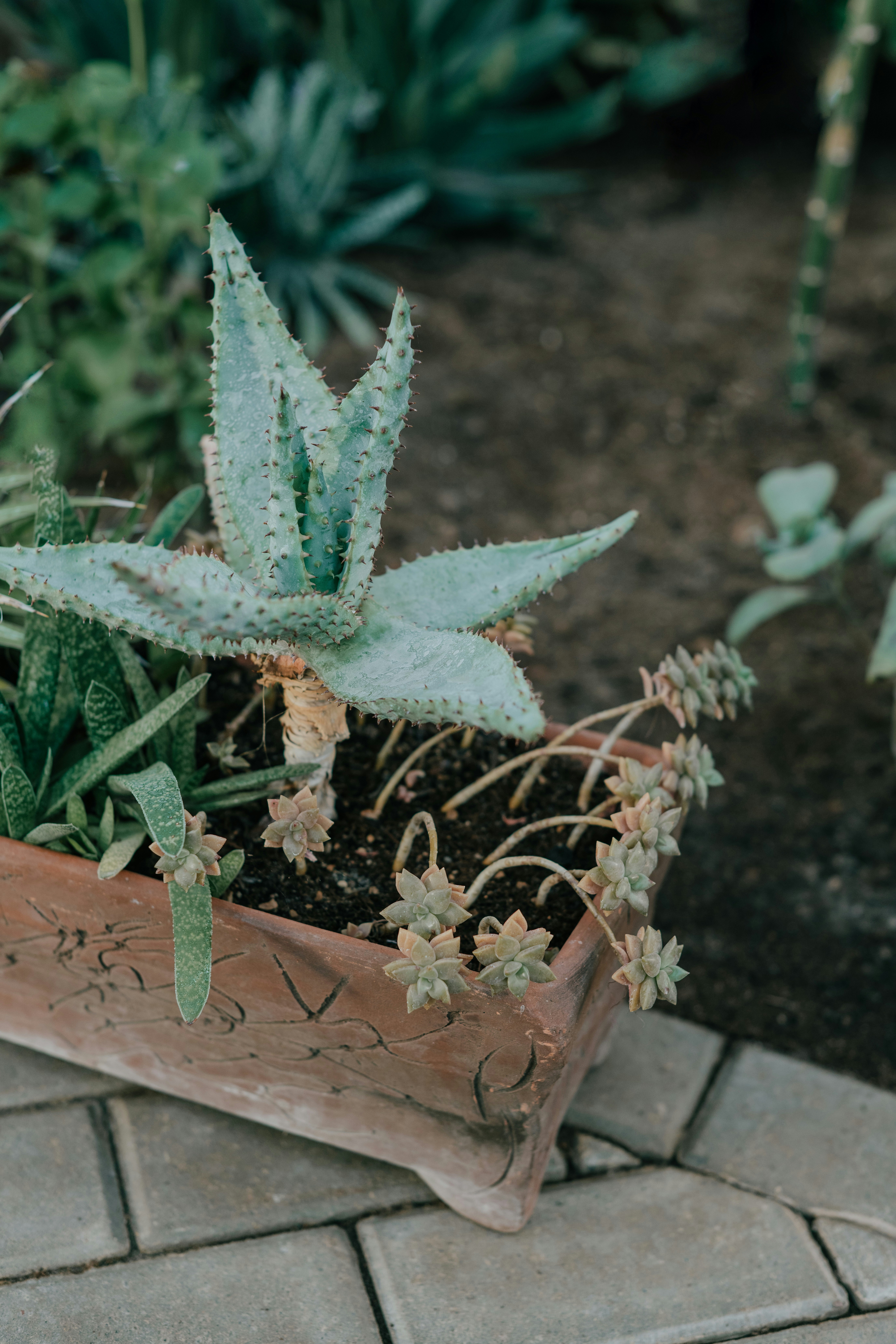 Photo by anitaaustvika