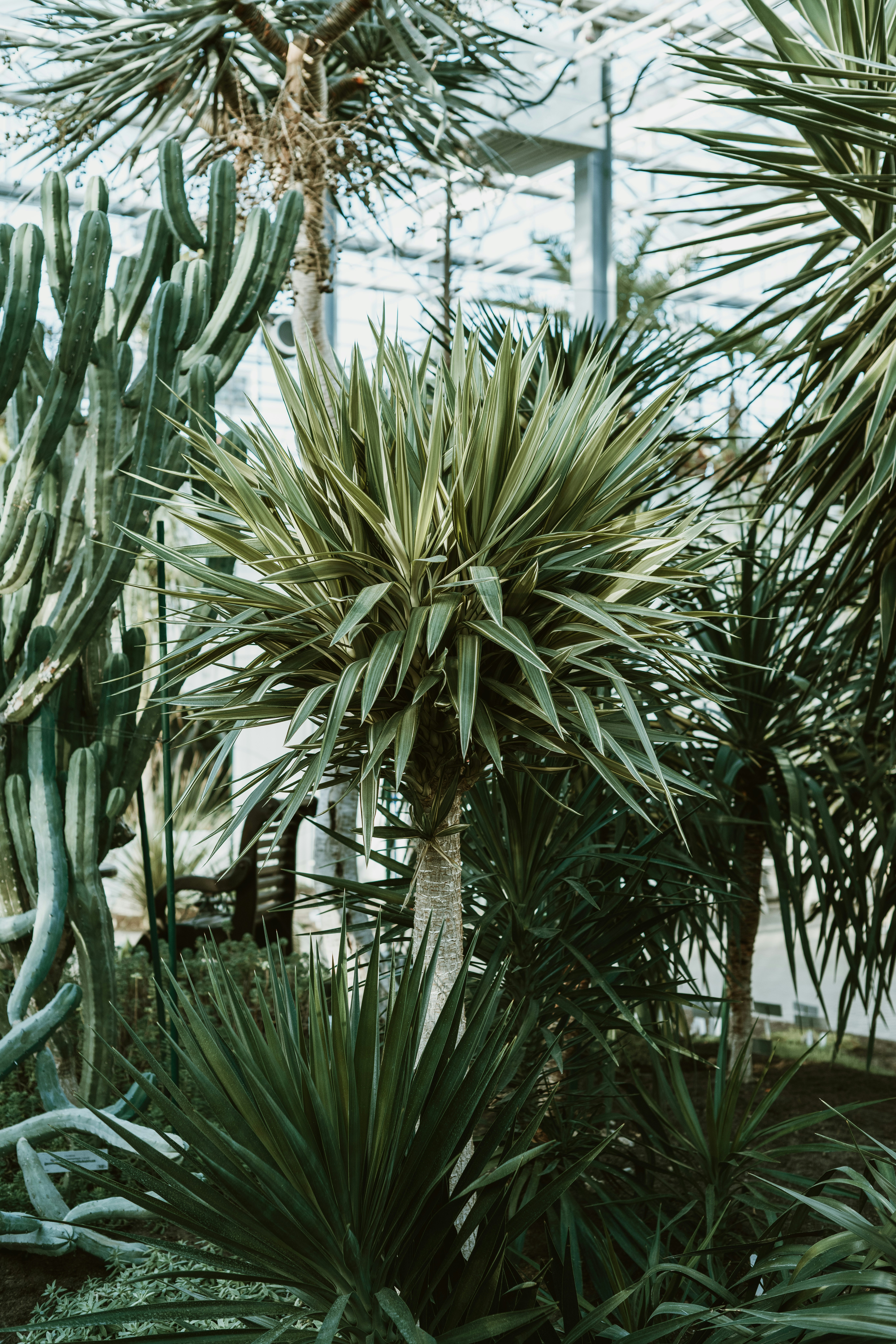 Photo by anitaaustvika