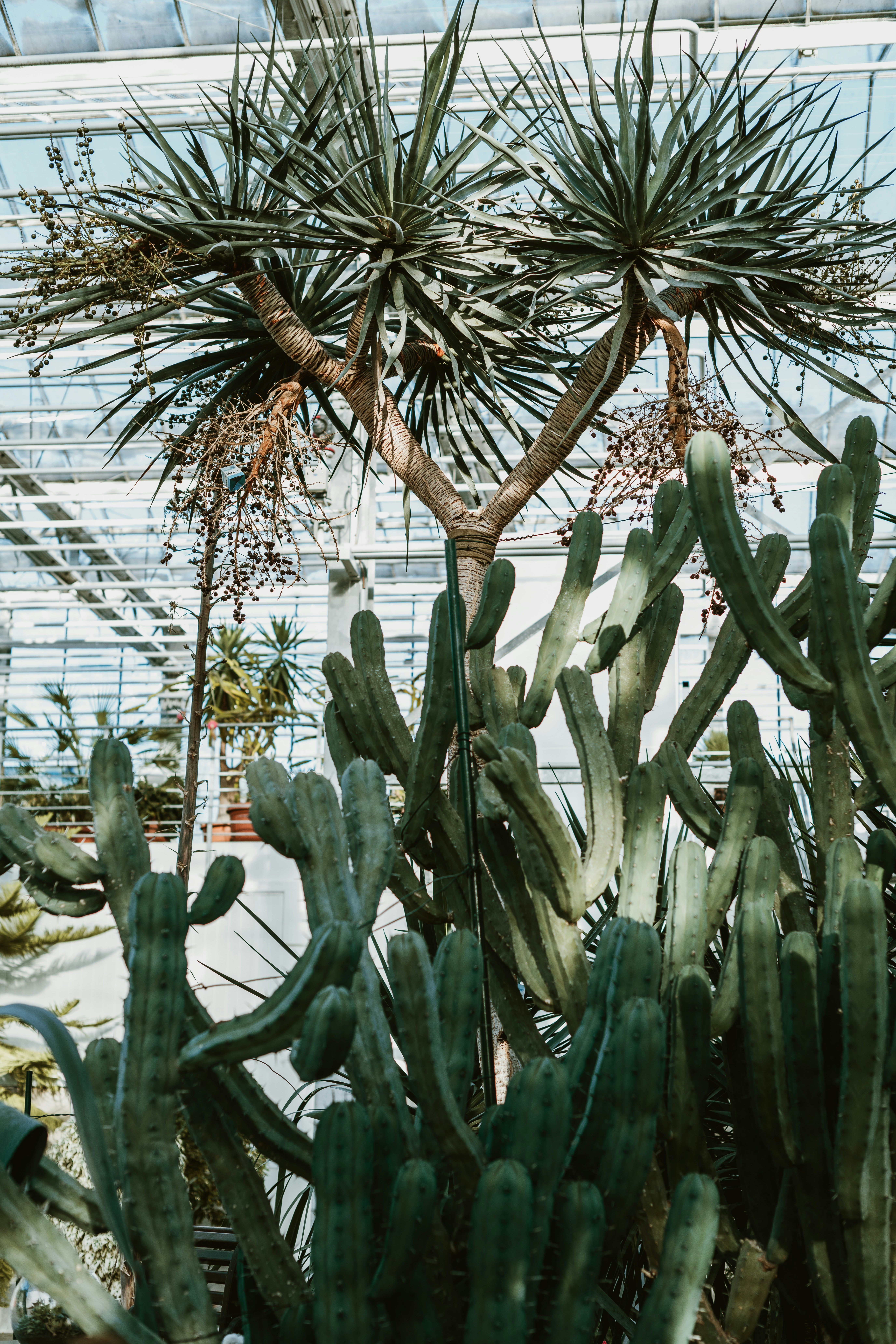 Photo by anitaaustvika