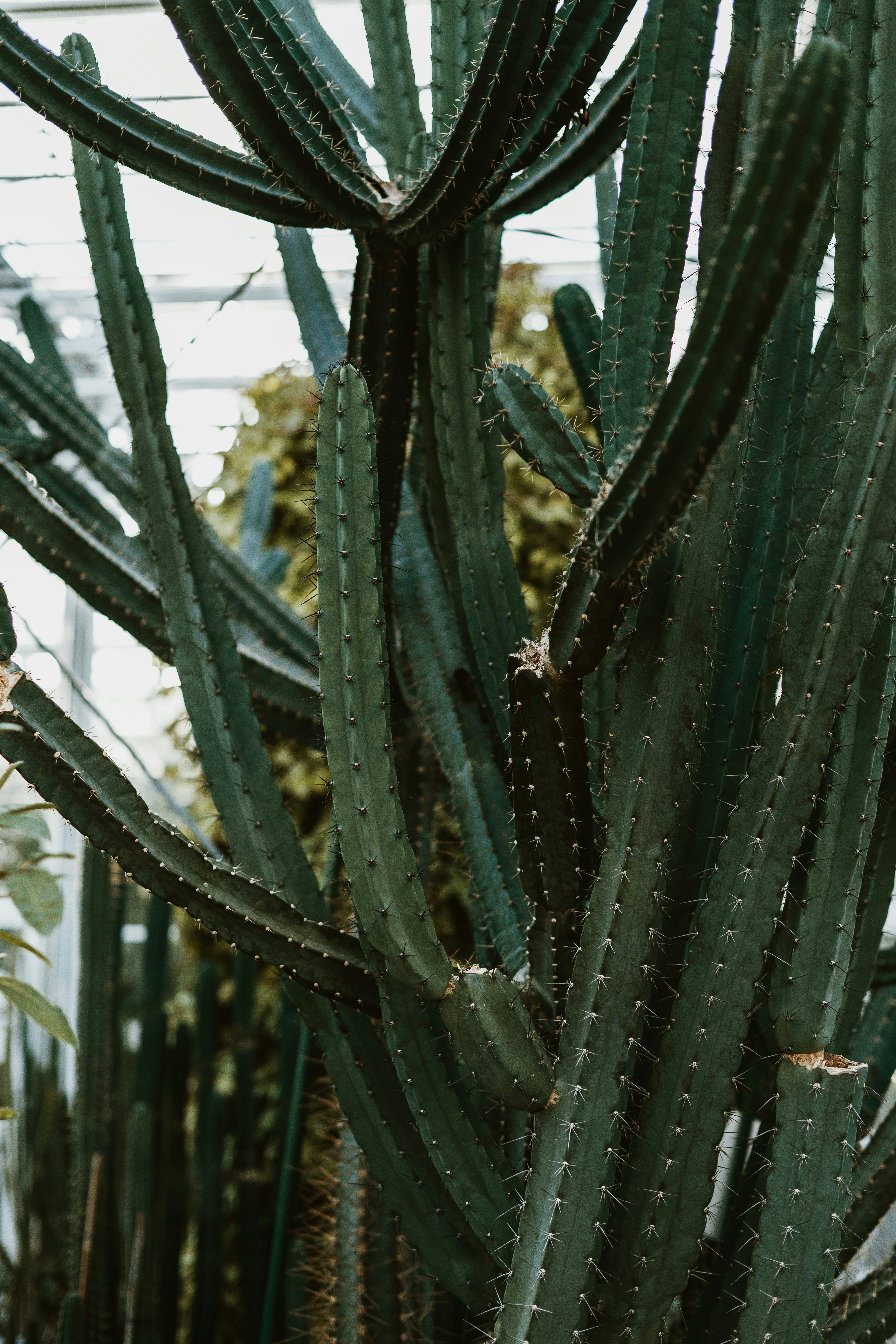 Photo by anitaaustvika