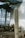 A tall cactus stands in an indoor setting with natural light filtering through large windows. Other smaller cacti and desert plants are scattered around a bed of soil. The industrial ceiling and neutral walls suggest a conservatory or greenhouse environment.