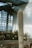 A tall cactus stands in an indoor setting with natural light filtering through large windows. Other smaller cacti and desert plants are scattered around a bed of soil. The industrial ceiling and neutral walls suggest a conservatory or greenhouse environment.