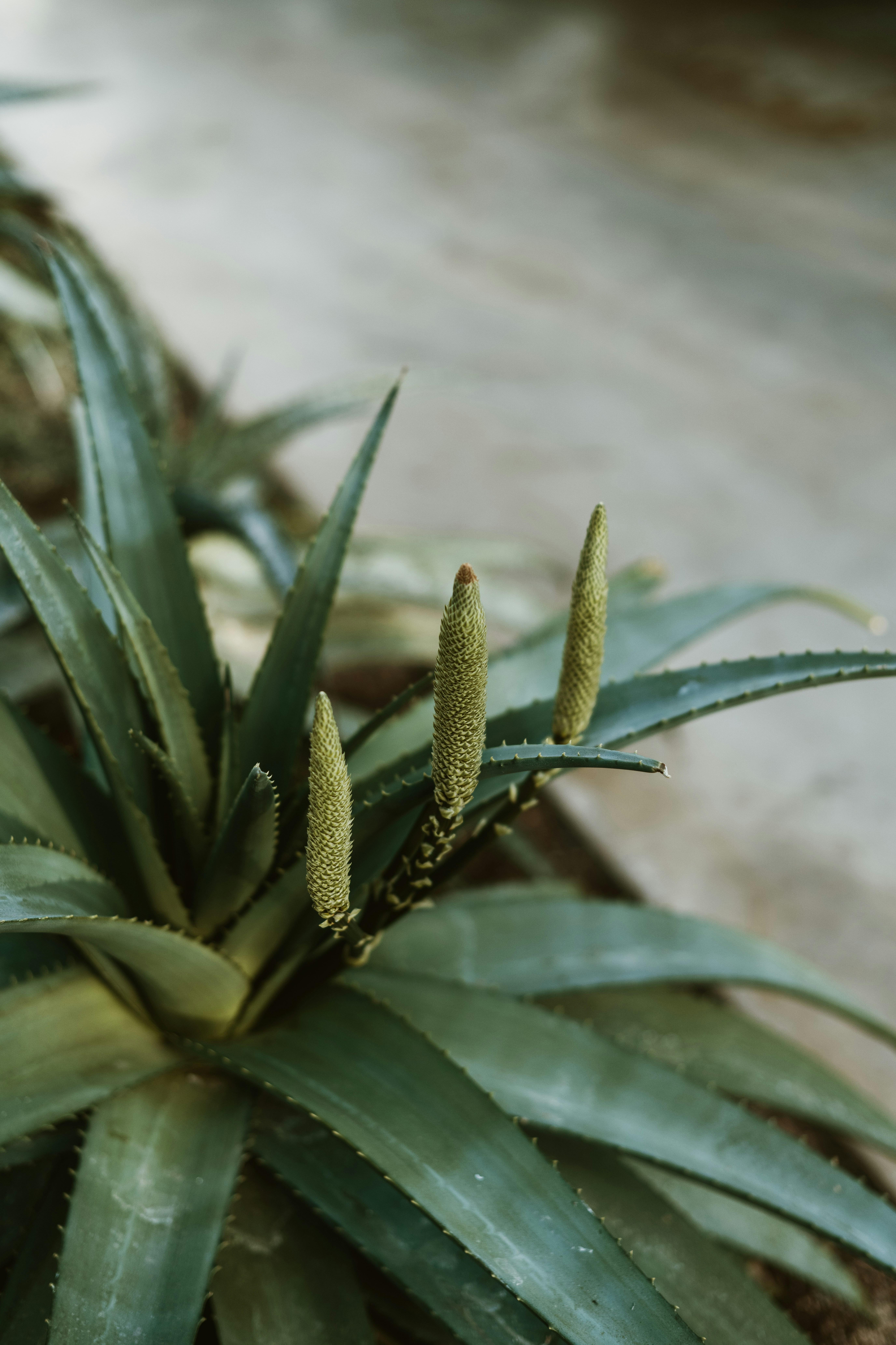 Photo by anitaaustvika