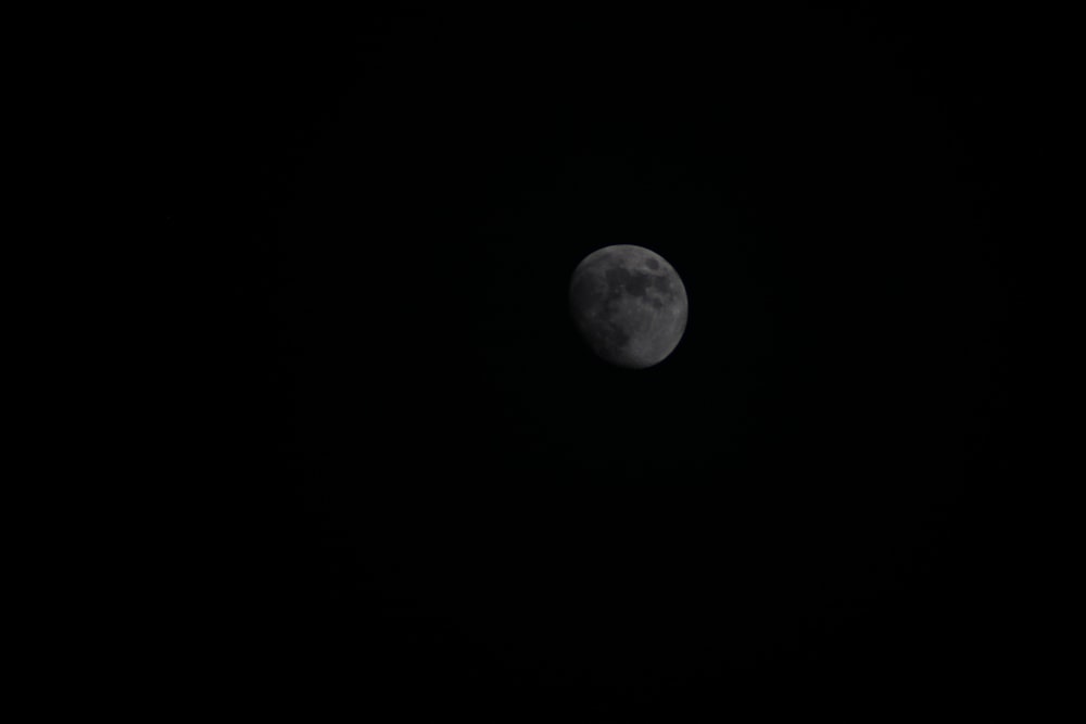 a full moon is seen in the dark sky