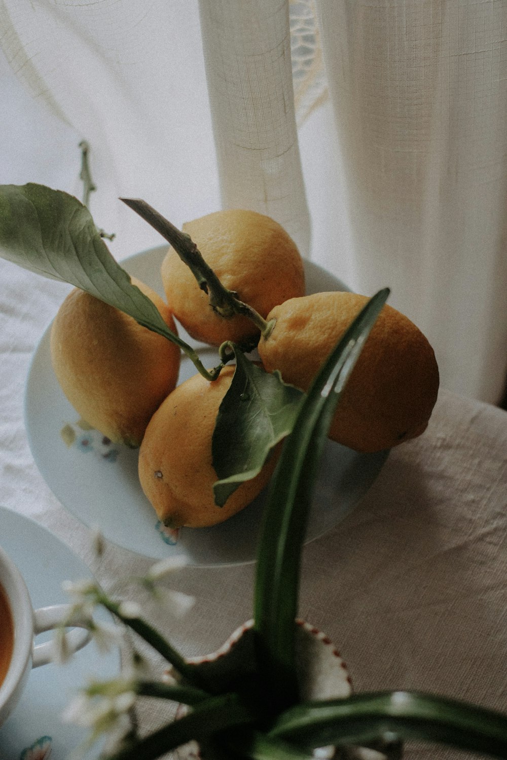 a white plate topped with oranges next to a cup of tea