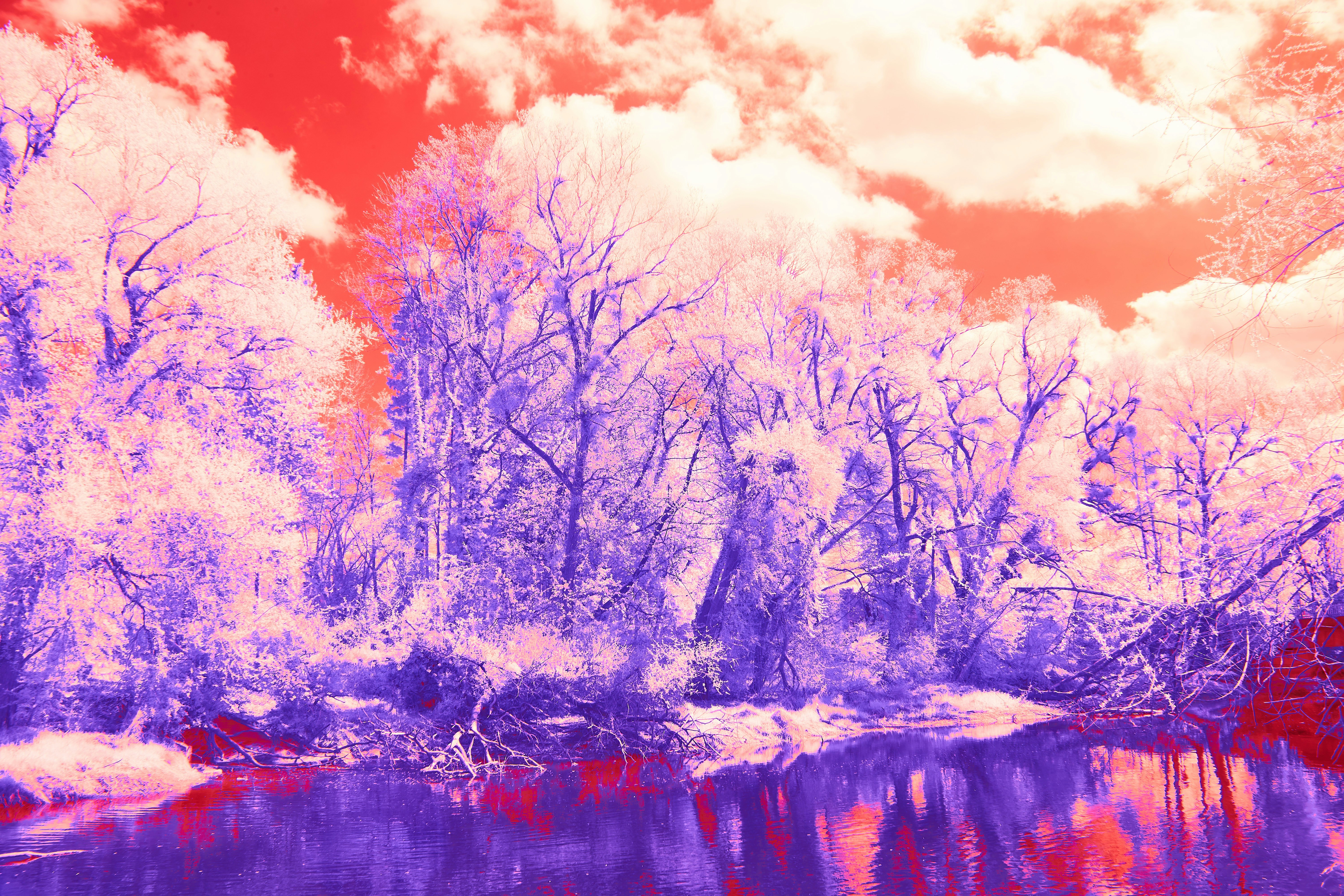 Photo by wolfgang_hasselmann