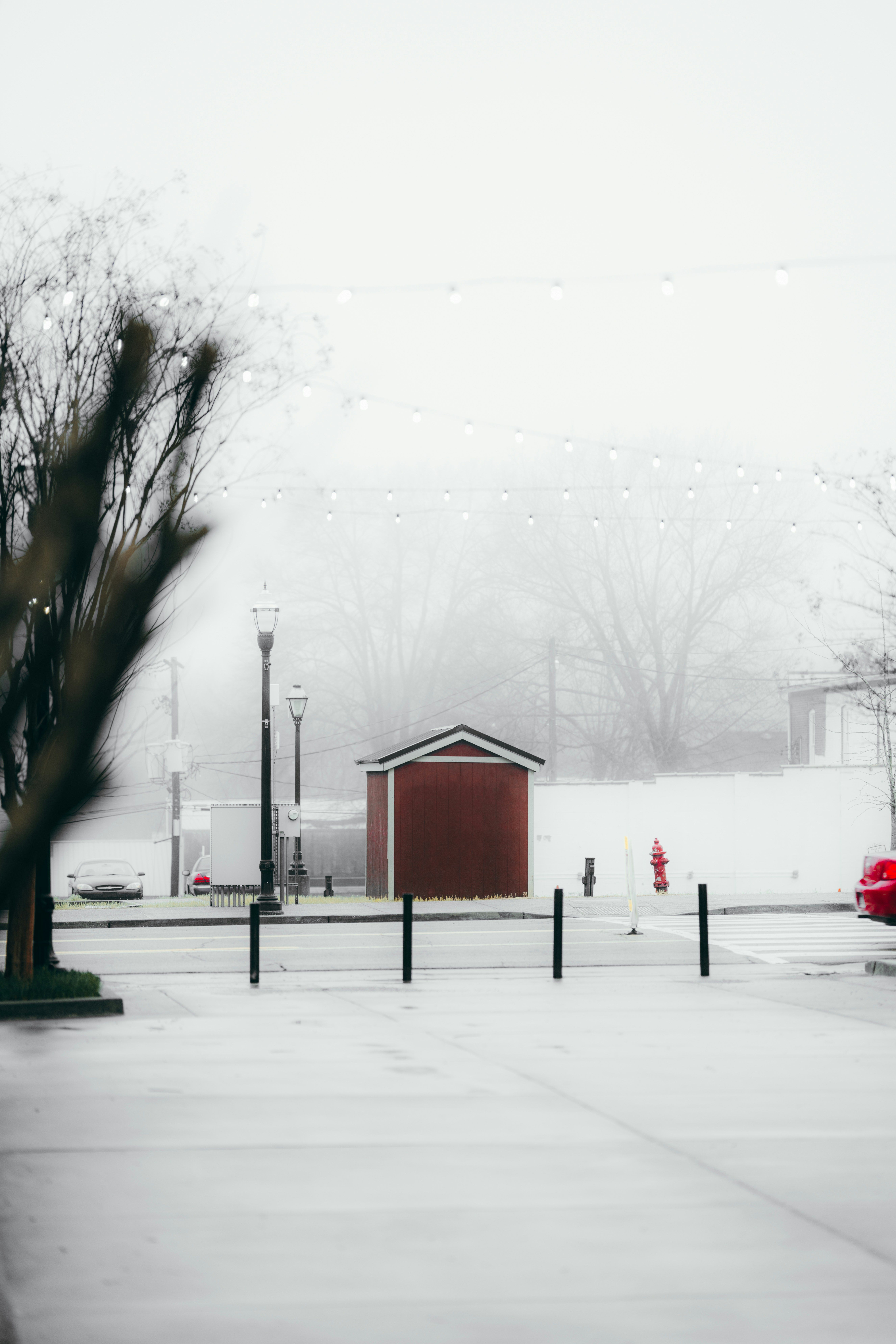 Photo by colemangloverphotography