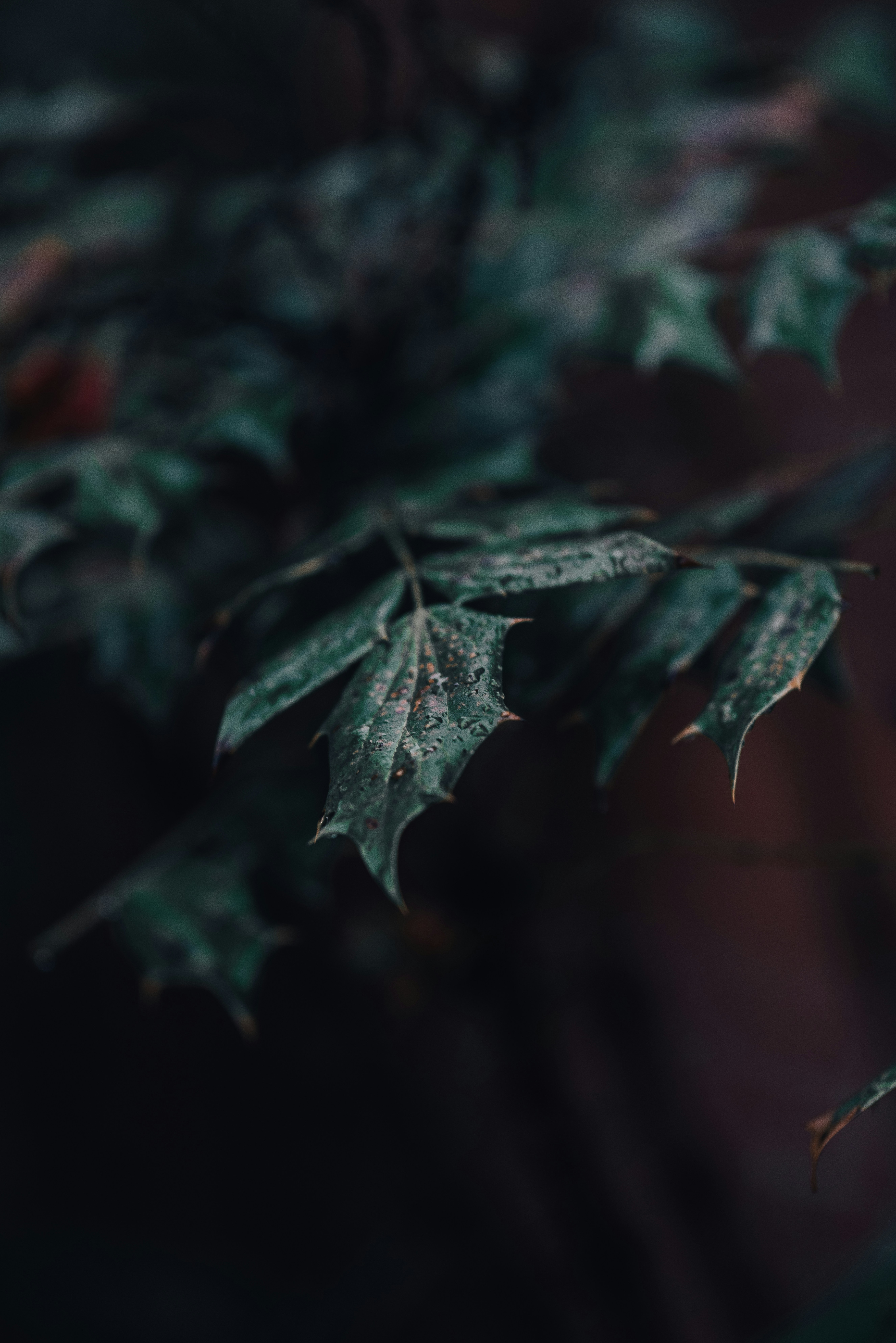 Photo by colemangloverphotography