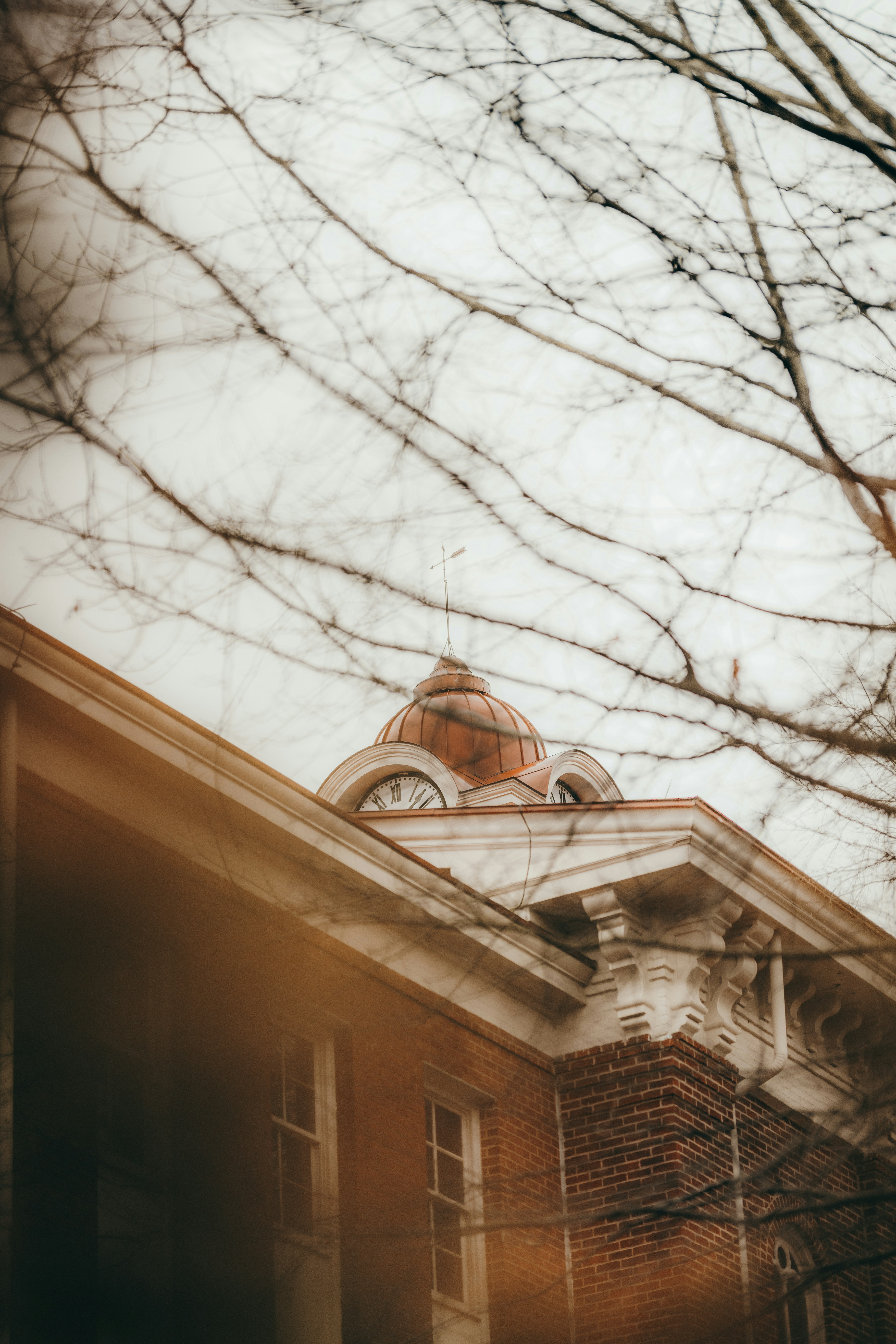 Photo by colemangloverphotography