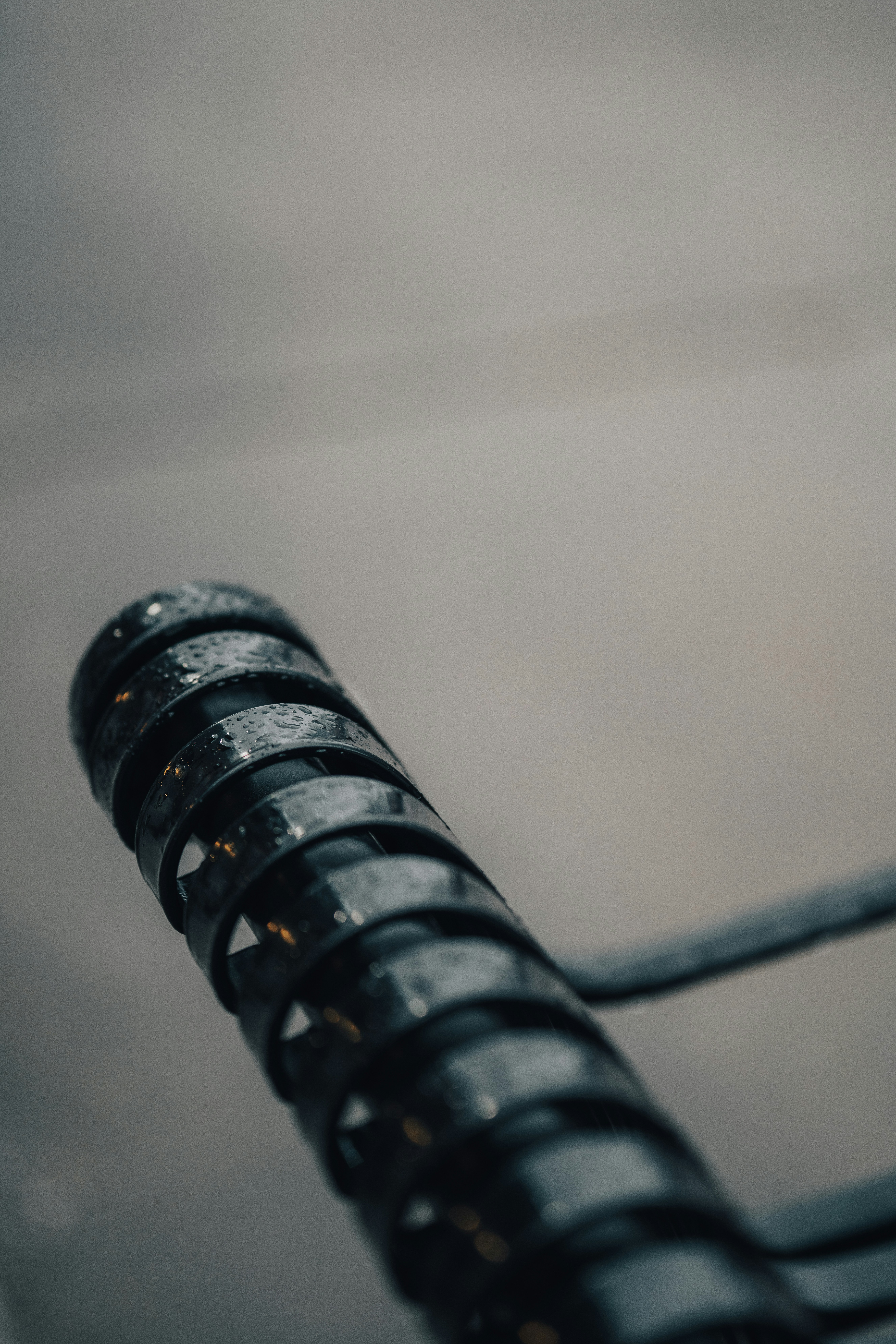 Photo by colemangloverphotography