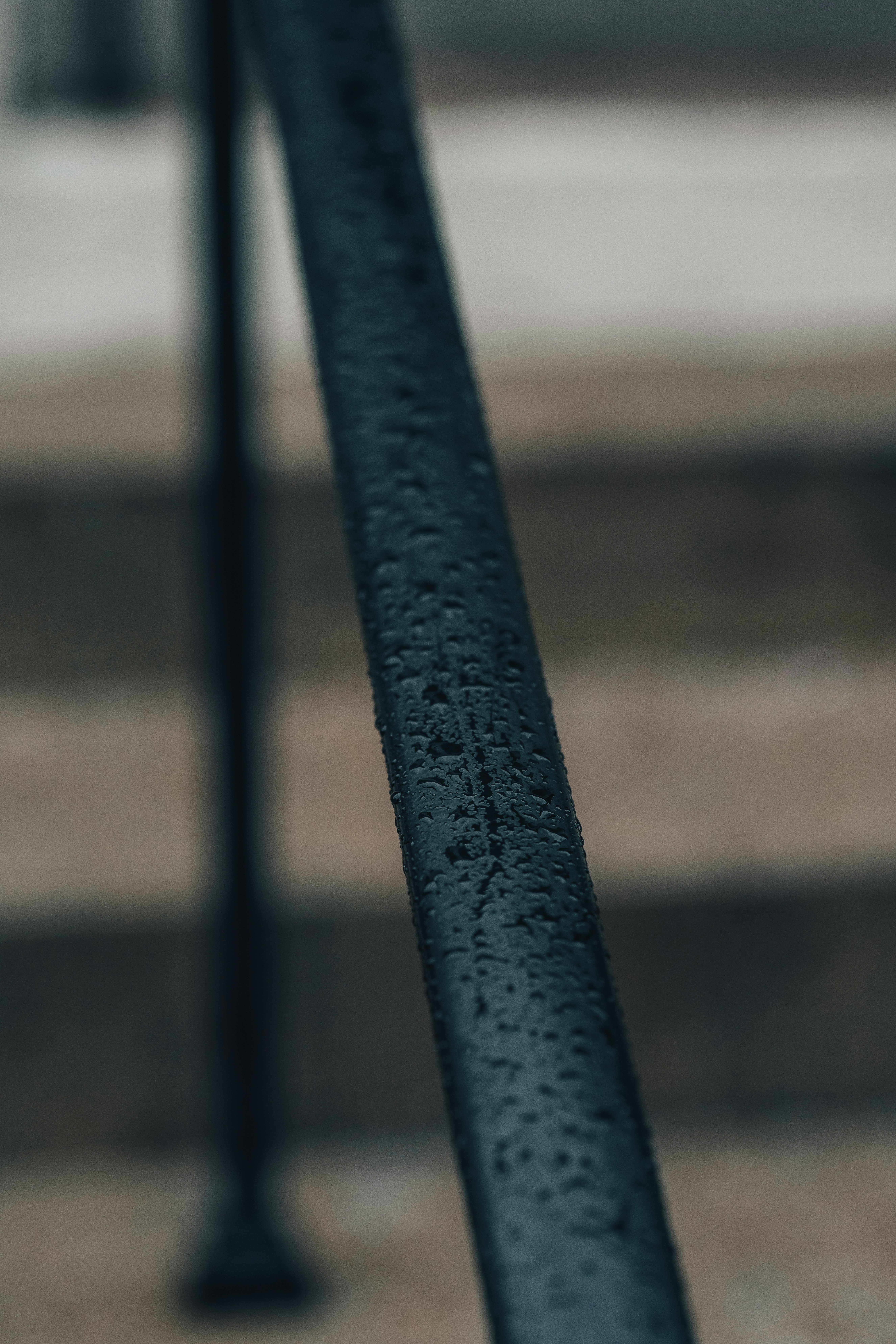 Photo by colemangloverphotography