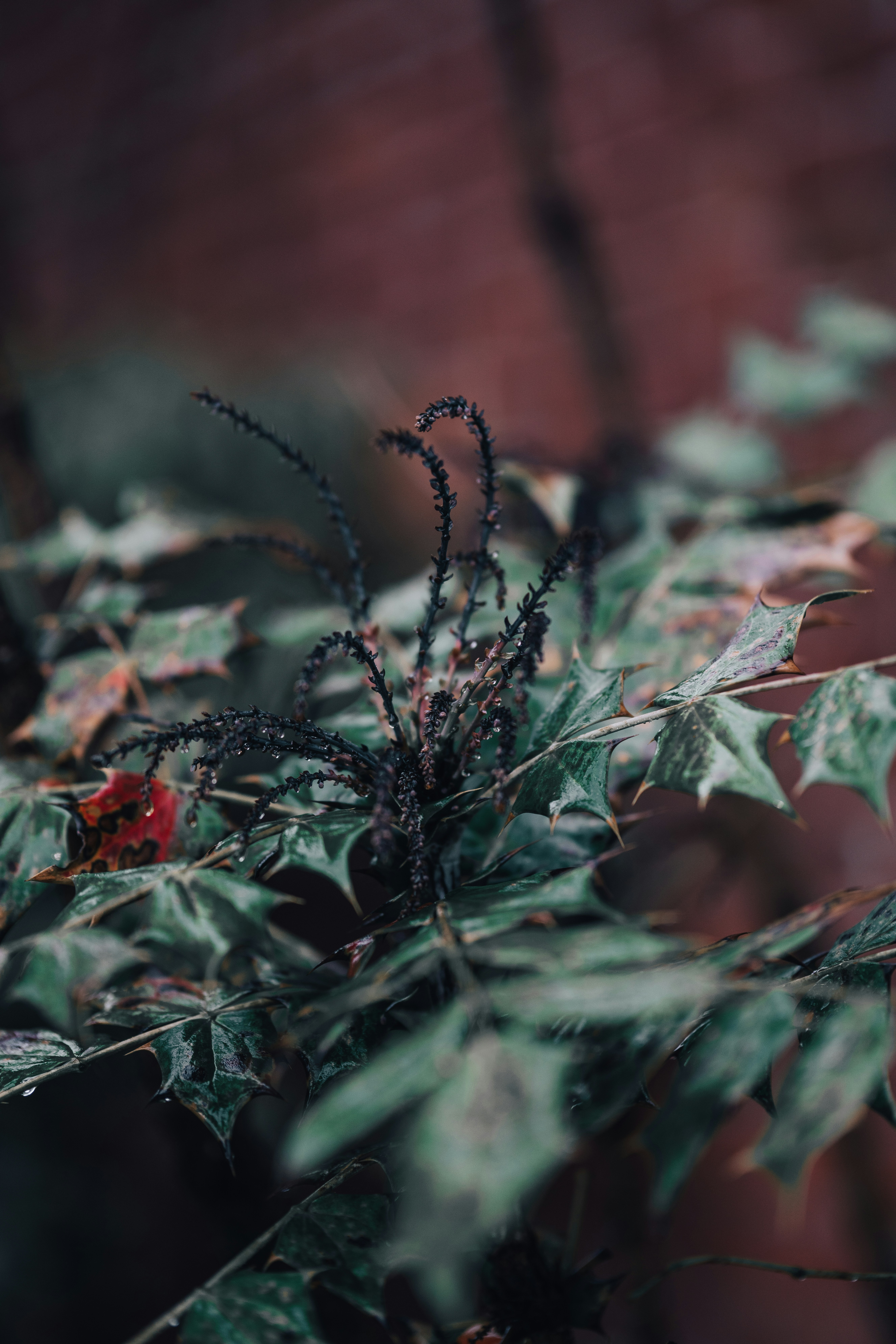 Photo by colemangloverphotography