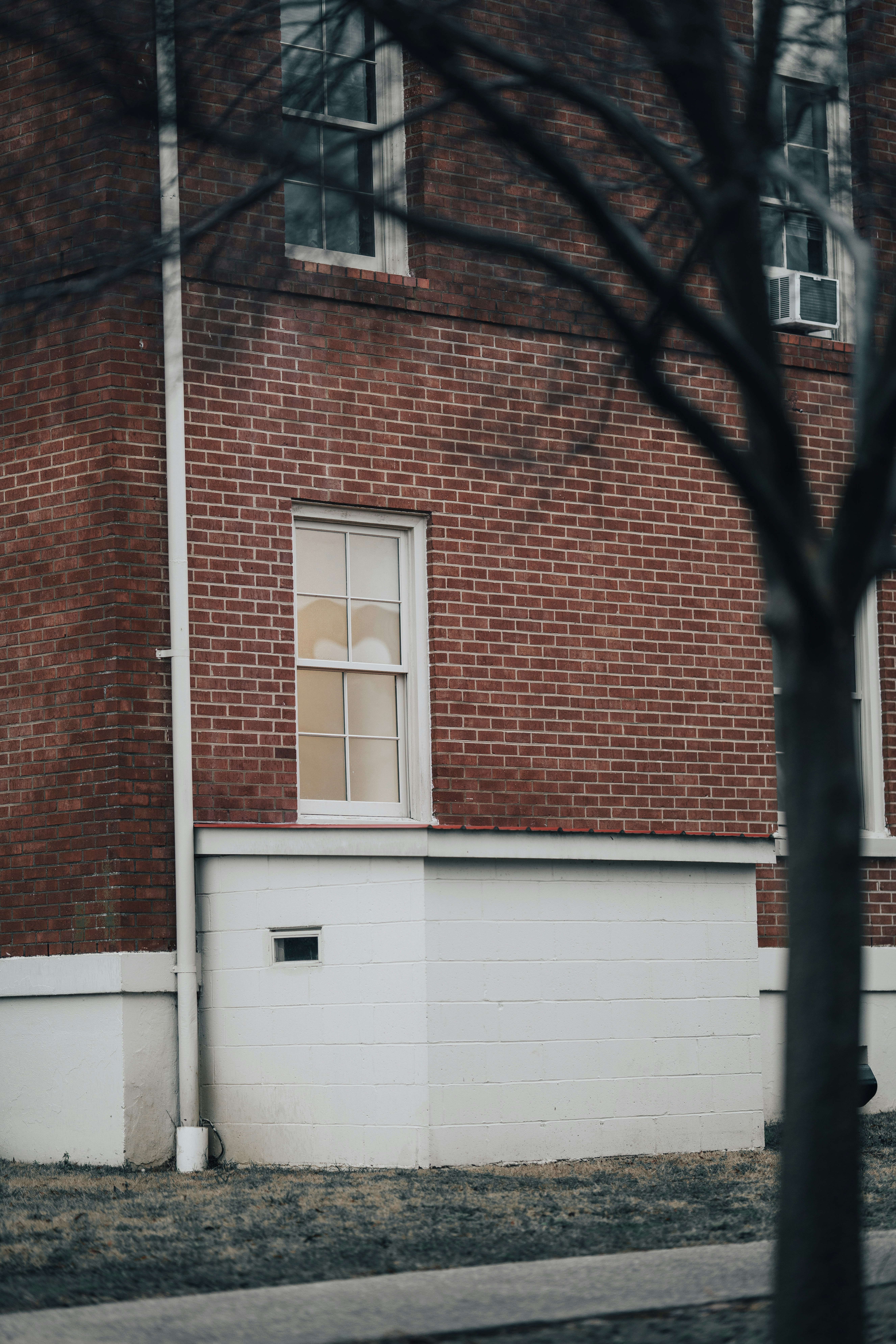 Photo by colemangloverphotography