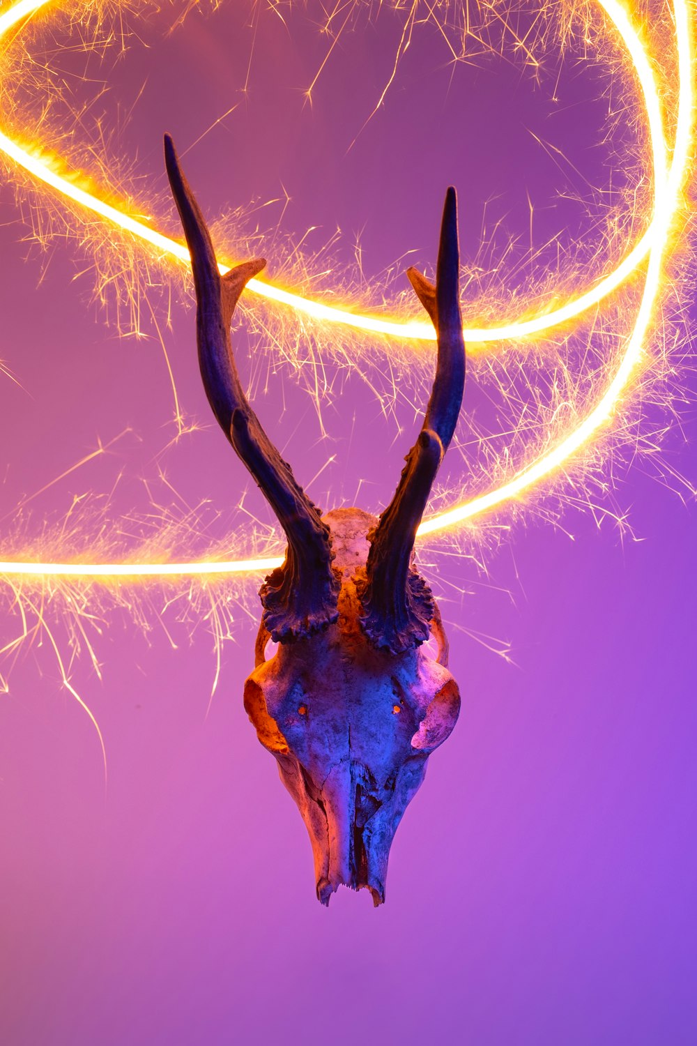a deer's head with long horns is lit up by fire