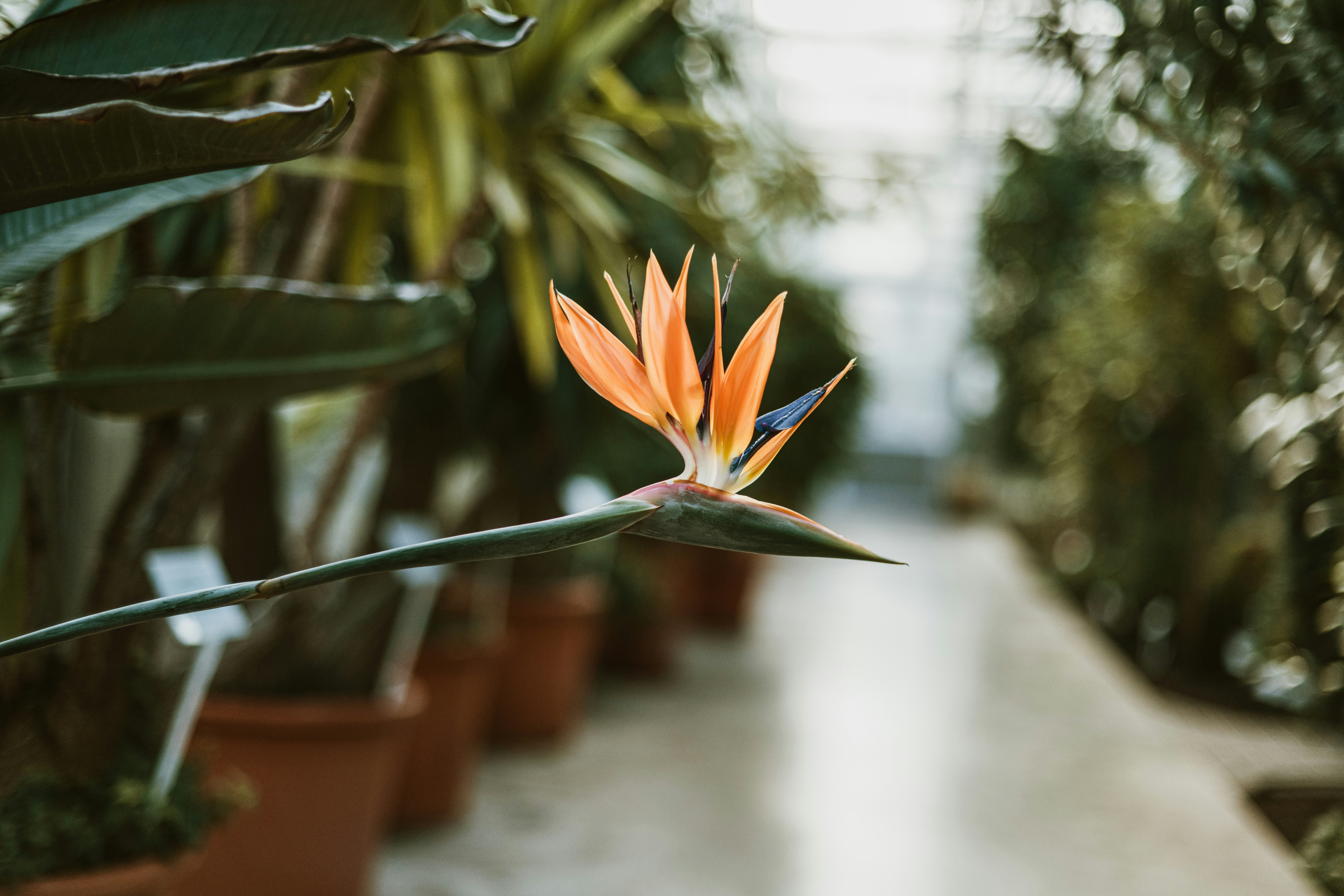 Photo by anitaaustvika