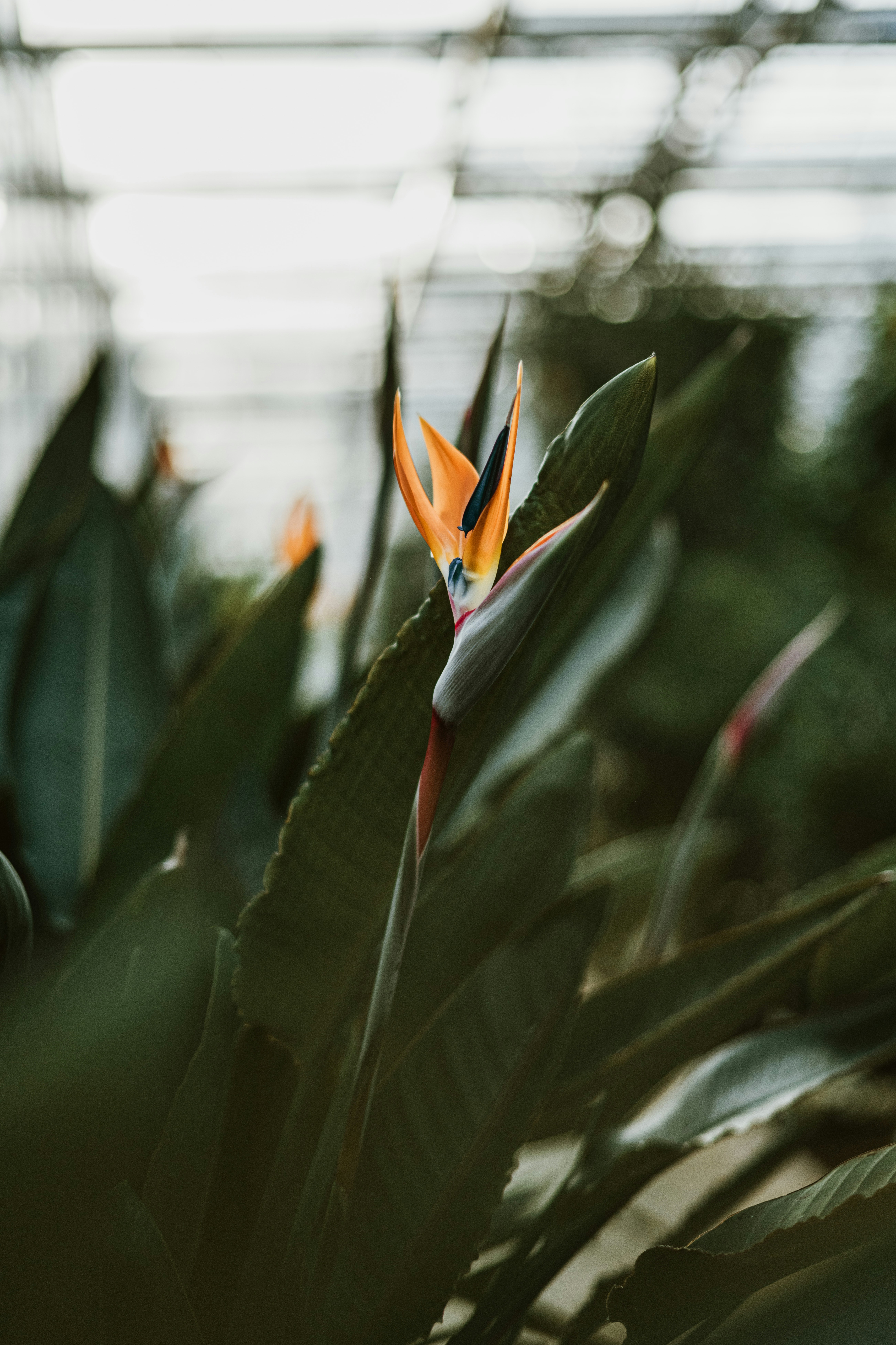 Photo by anitaaustvika