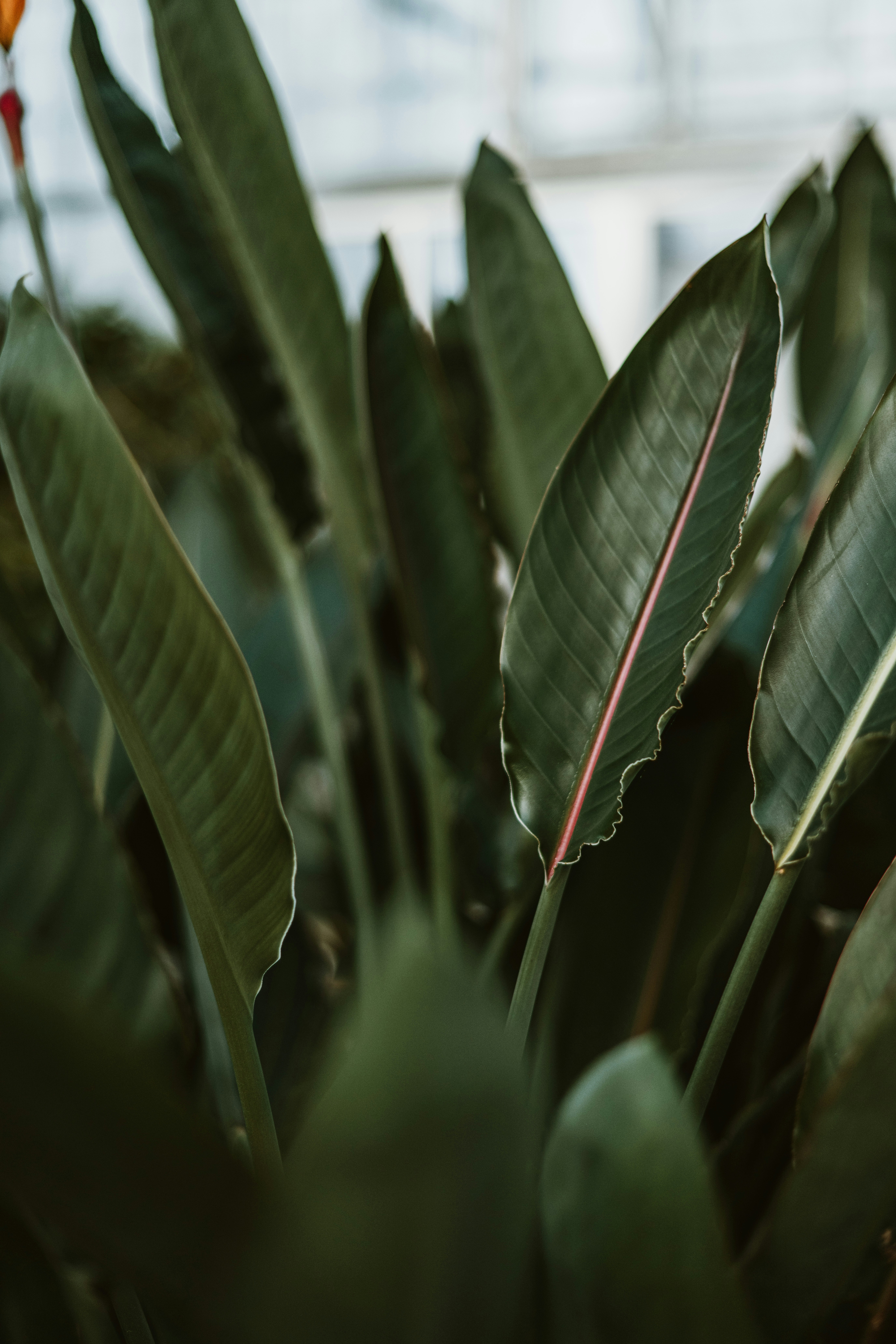 Photo by anitaaustvika