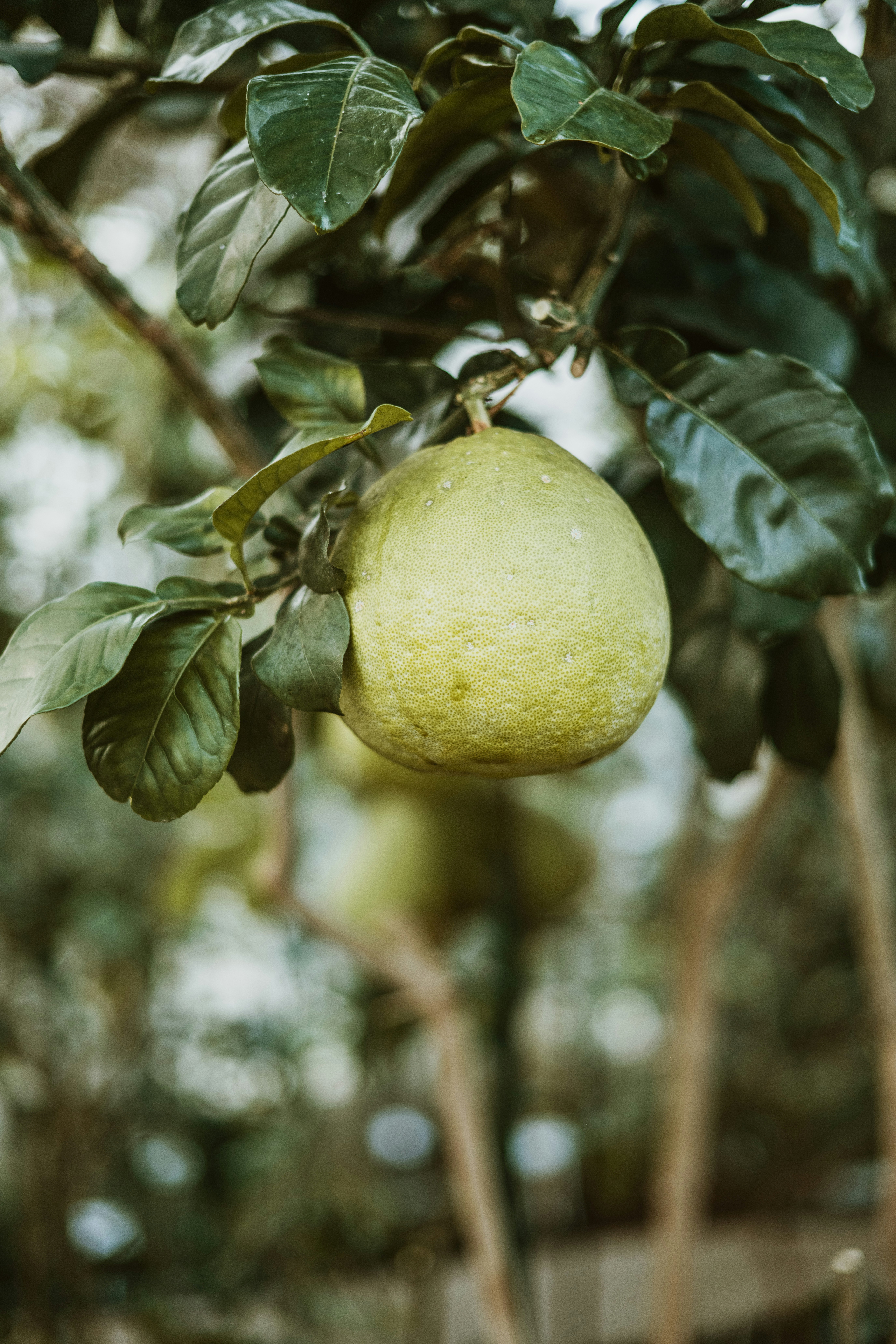 Photo by anitaaustvika