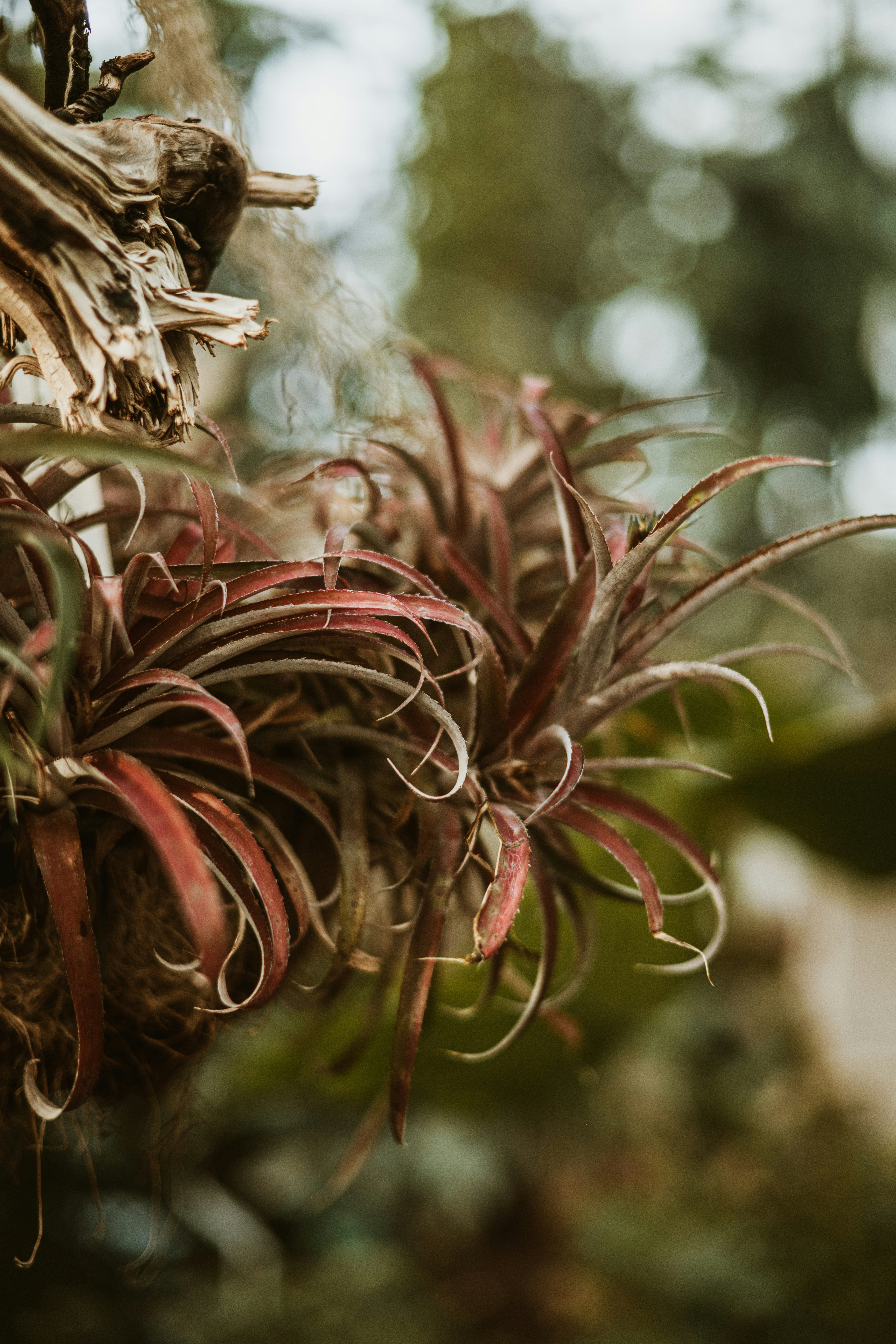 Photo by anitaaustvika