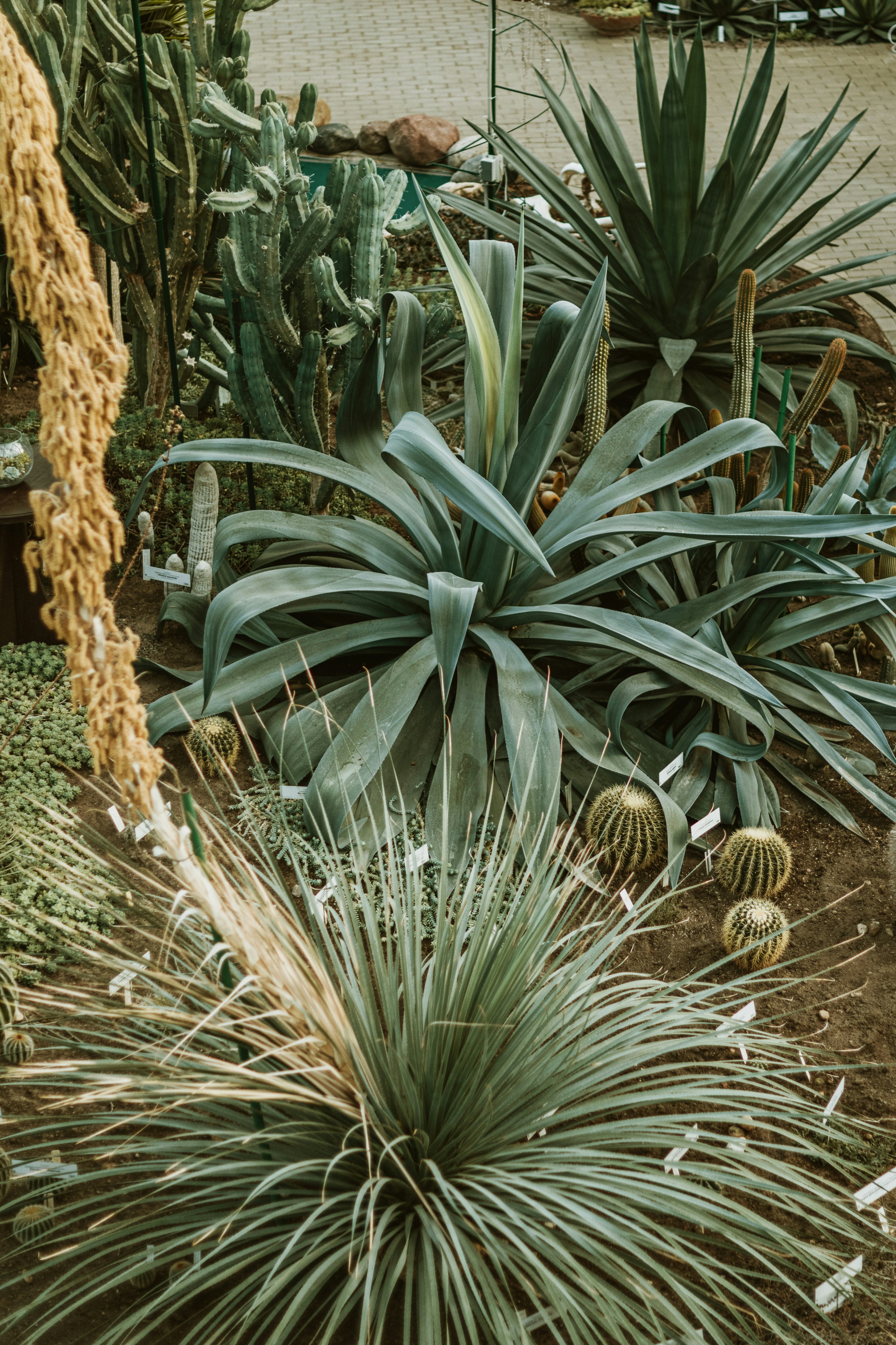 Photo by anitaaustvika