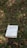 A book titled 'The Meaning of Marriage' by Timothy Keller is placed on the grass. The background consists of green and brown grass, with fallen leaves scattered around.