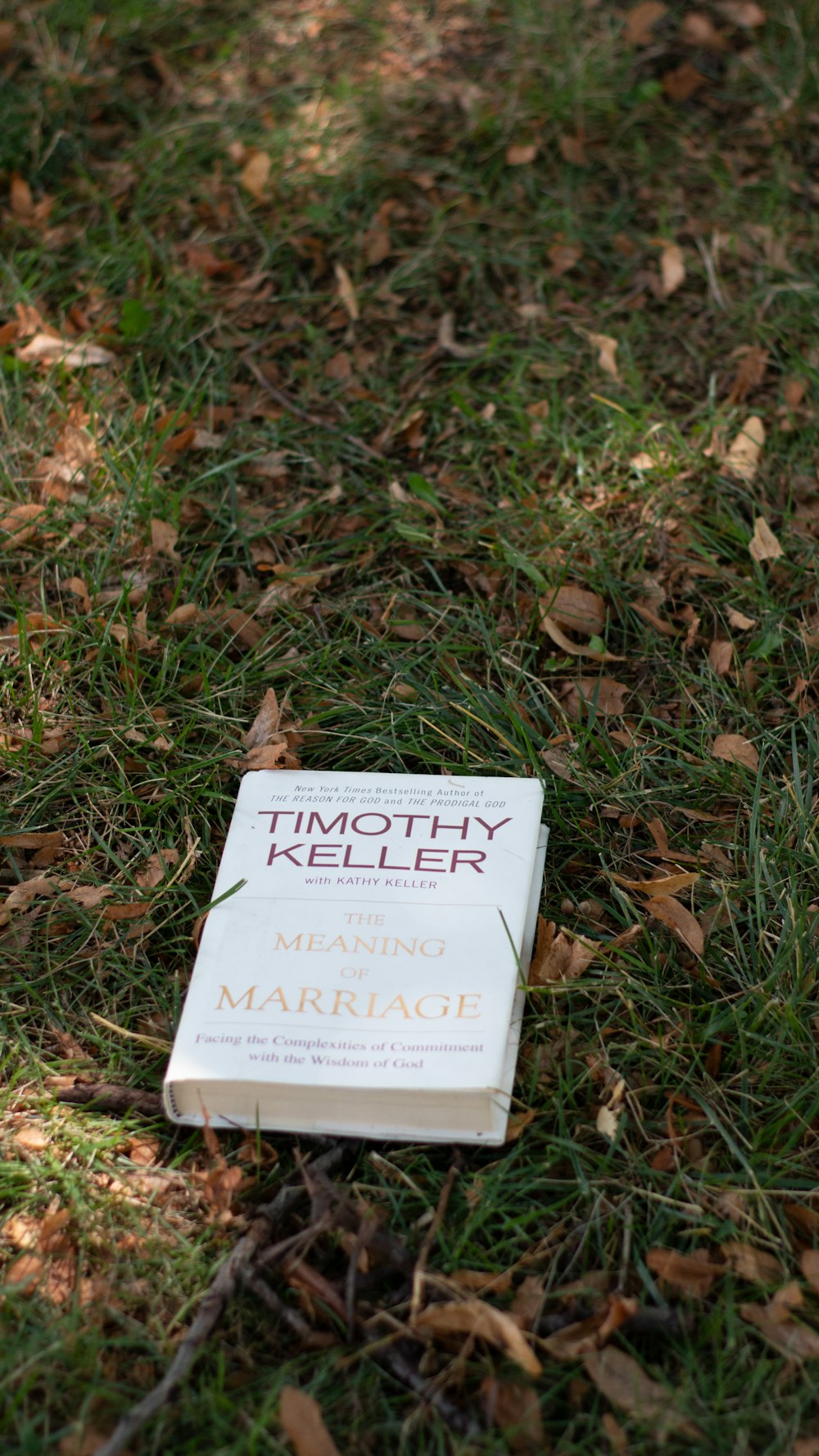 a book laying on the ground in the grass