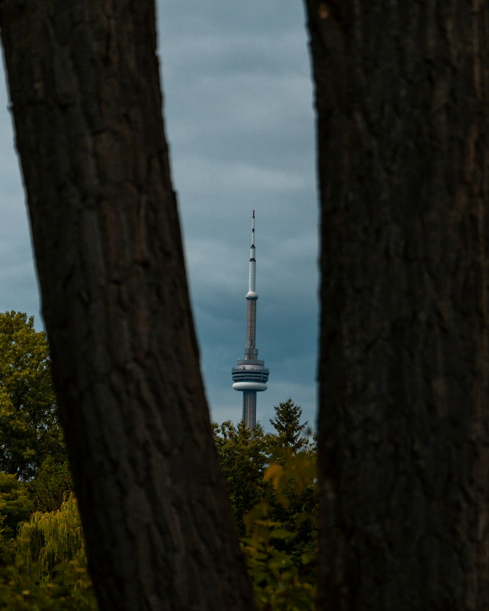 a view of a tall tower through some trees