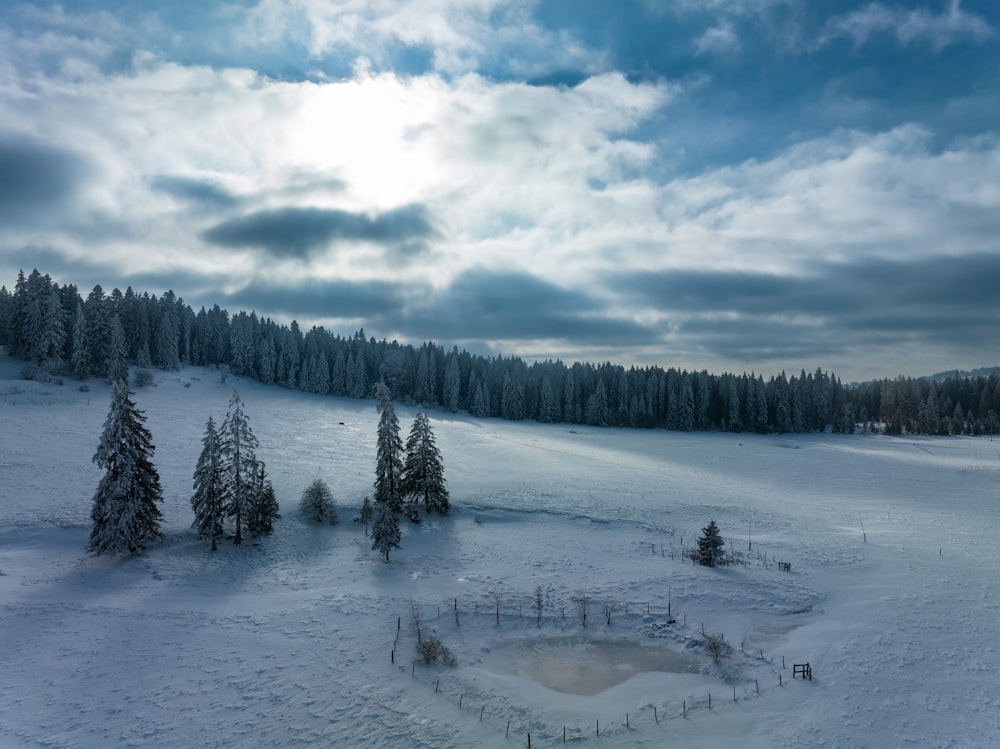 a snowy landscape with trees and a small pond