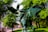 A bronze statue depicting a mythical creature with a rider, surrounded by lush green trees in an urban park setting. The sculpture features intricate details, and the scene is vibrant with natural light filtering through the foliage.