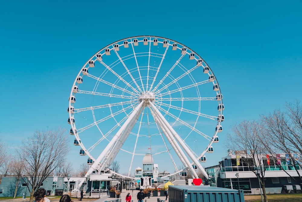 a large ferris wheel sitting in the middle of a park