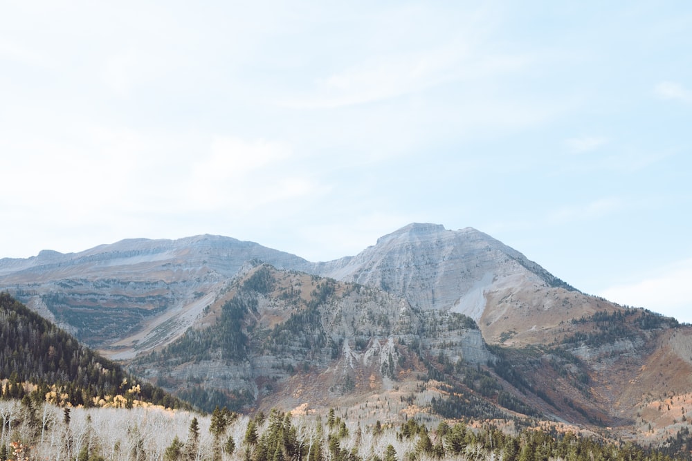 a view of a mountain range with trees in the foreground