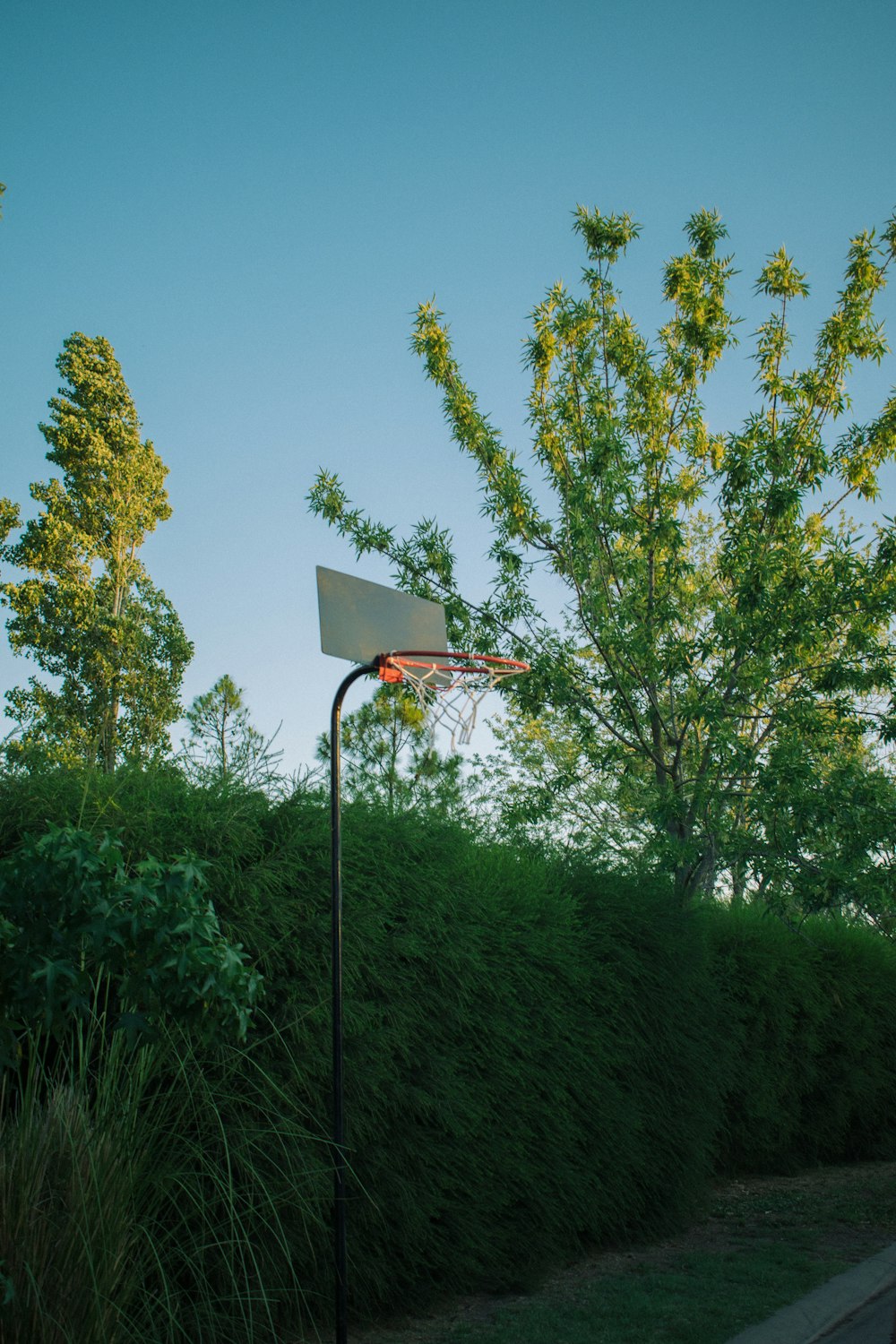 a basketball hoop in the middle of a grassy field