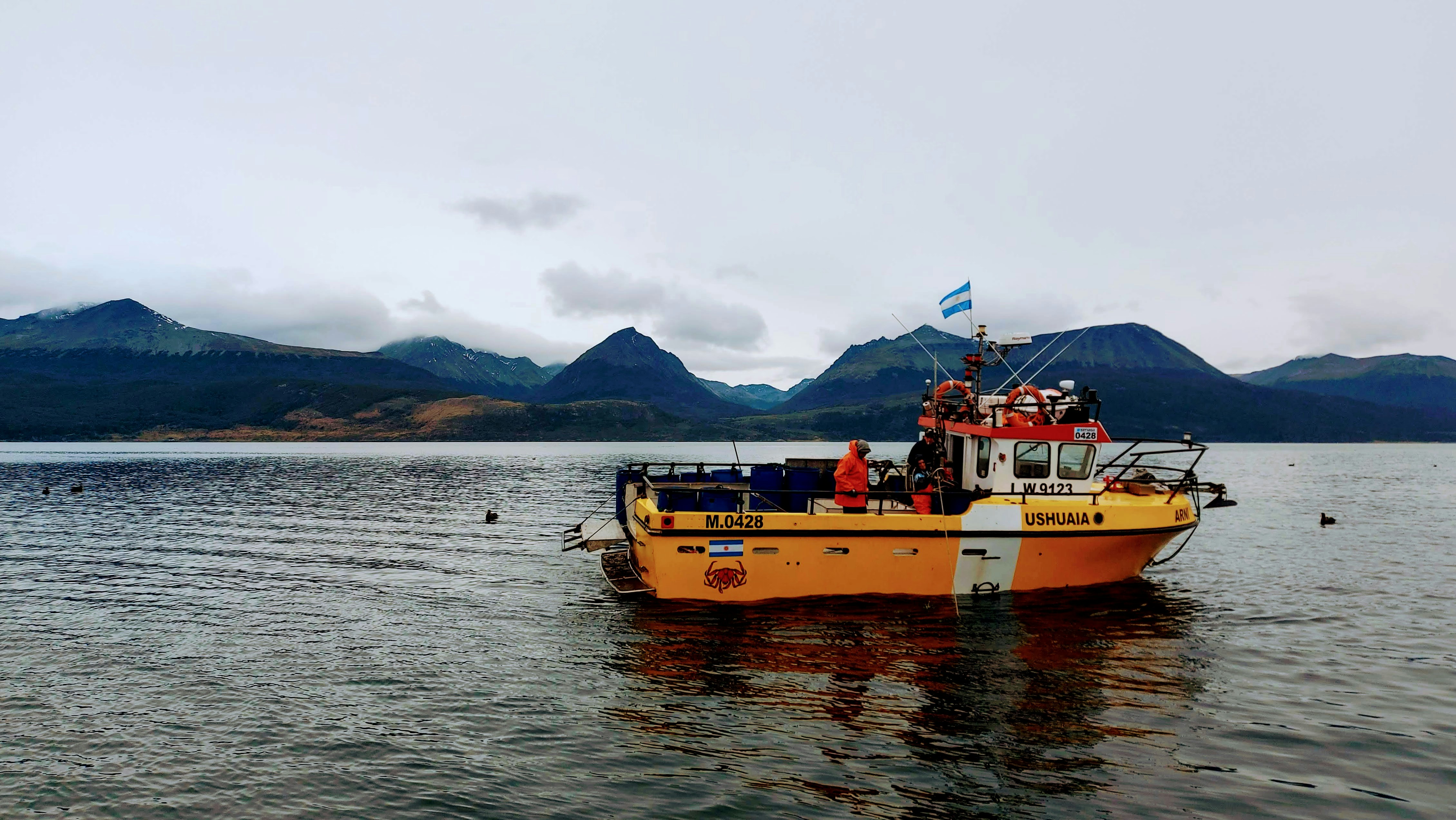 Best Time and Tips for Whale Watching at Peninsula Valdes - Peninsula Valdes whales Argentina