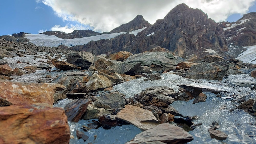 rocce e acqua in un ruscello di montagna