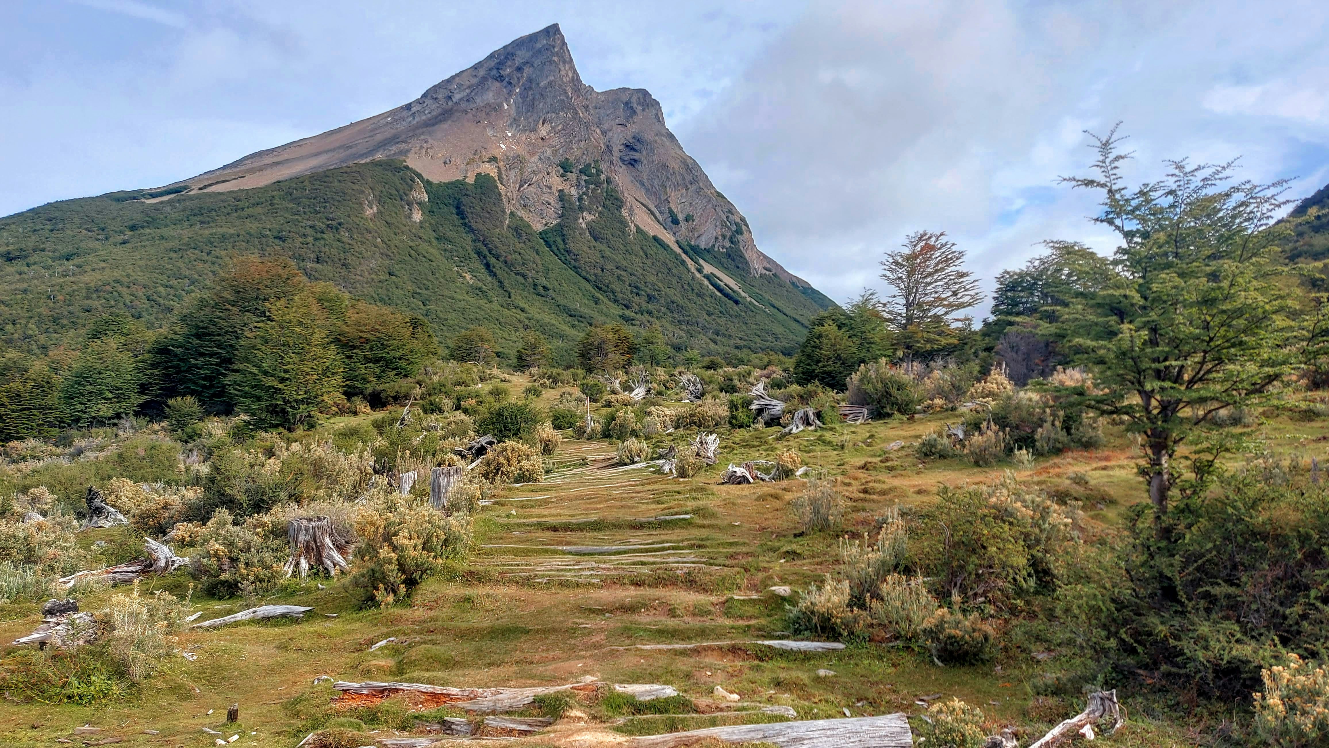 Parque El Triangulo