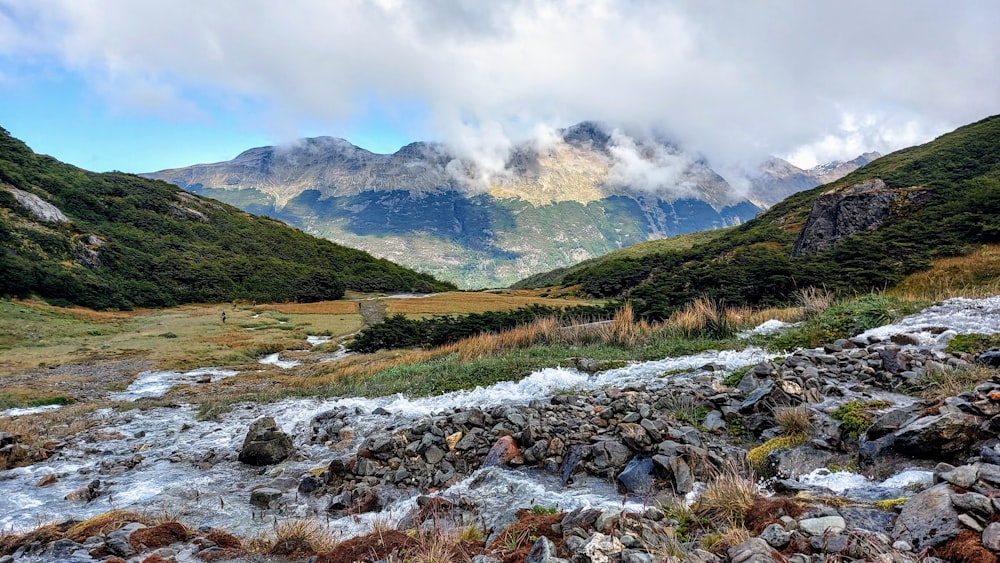 Ein Fluss, der durch ein üppiges grünes Tal fließt