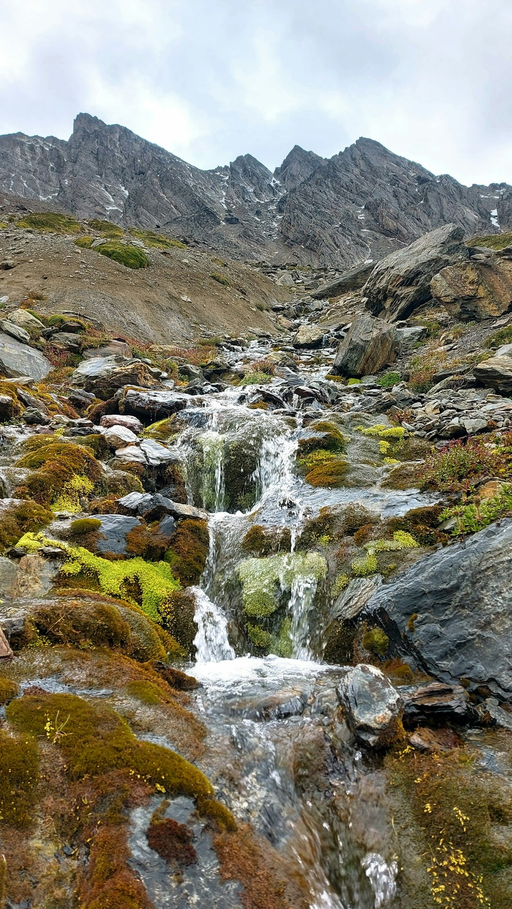 Un flusso d'acqua che attraversa una collina verde lussureggiante