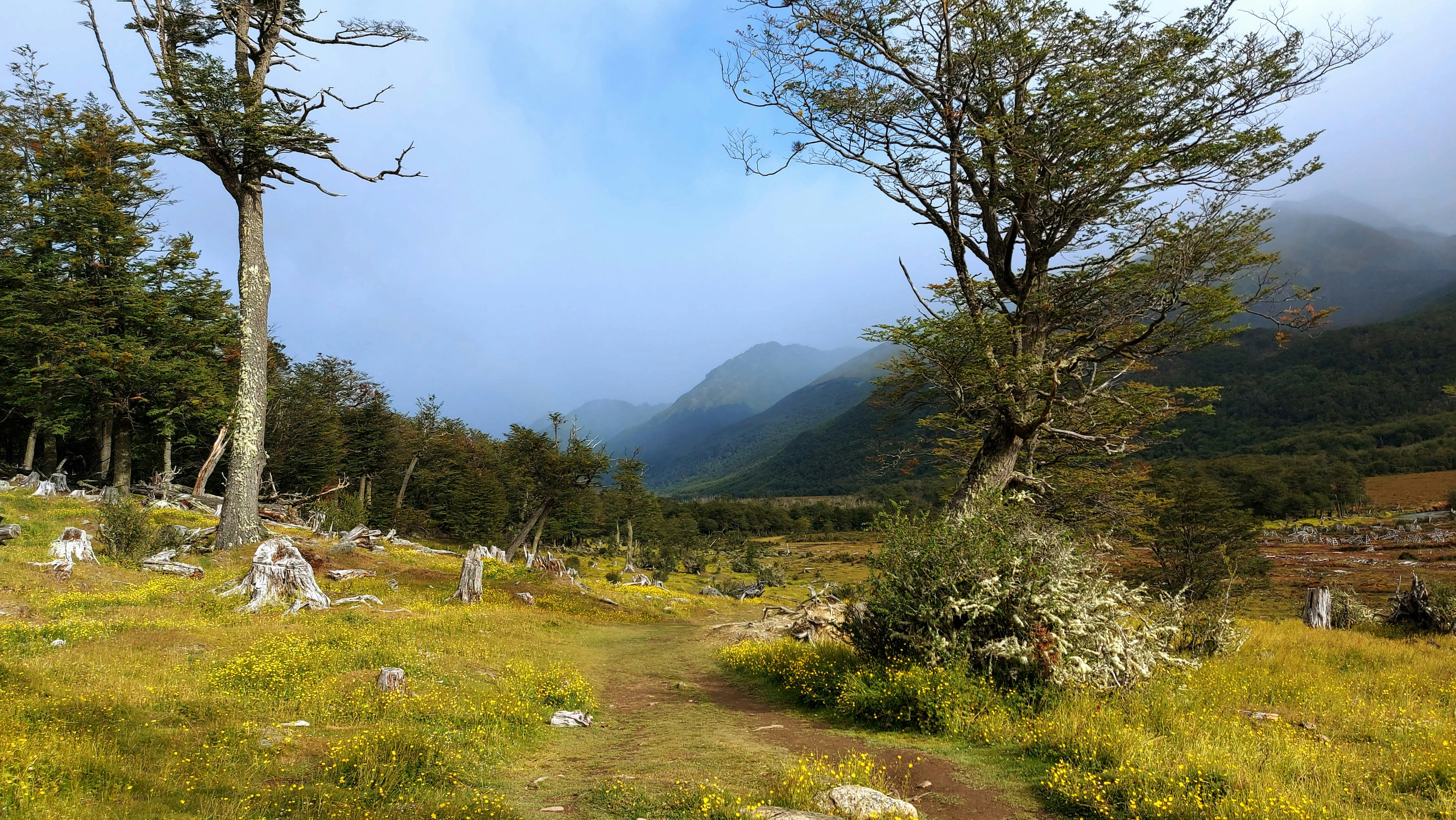 Photo by tank_ghisletti