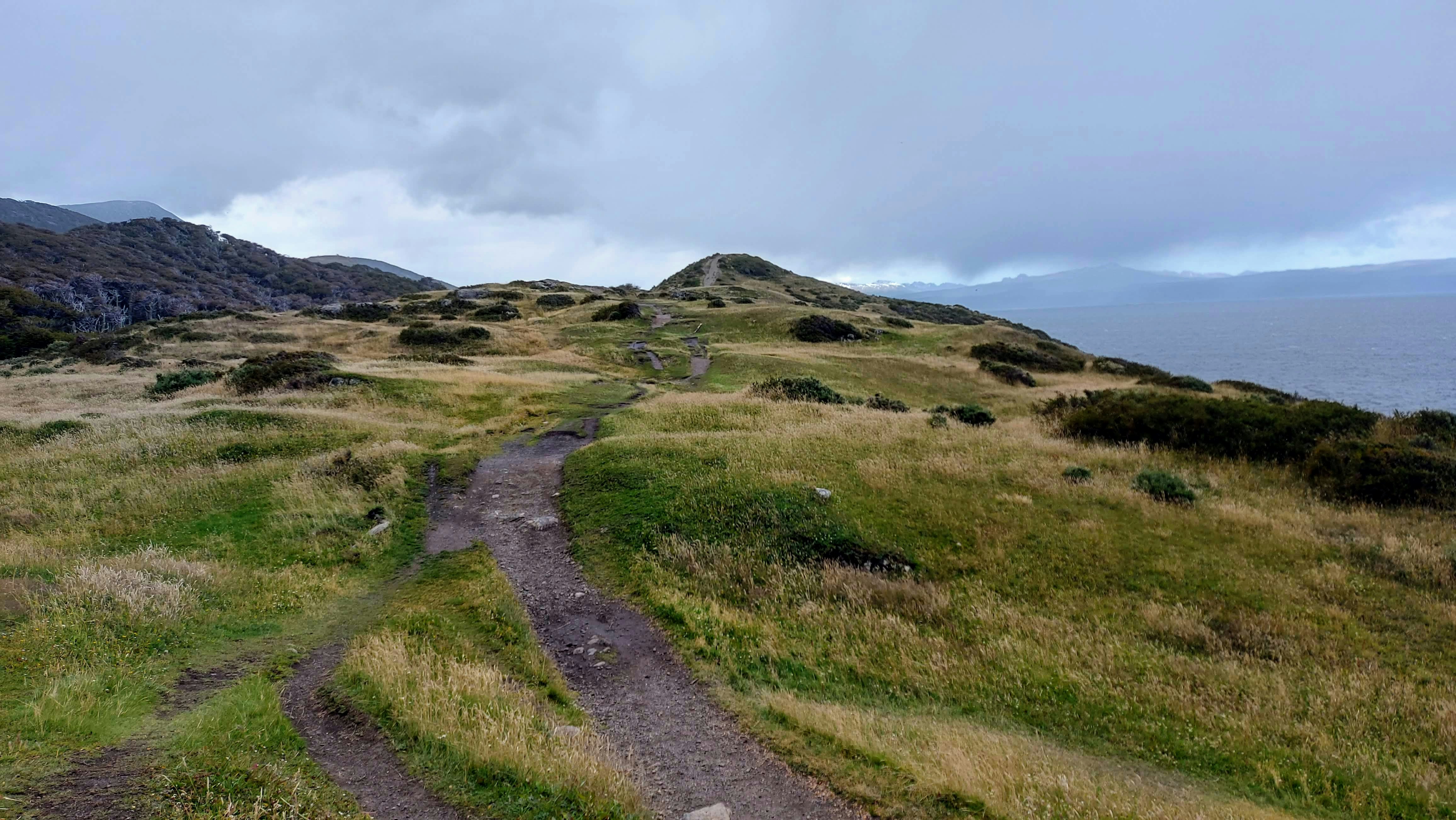 a path going up a grassy hill next to a body of water