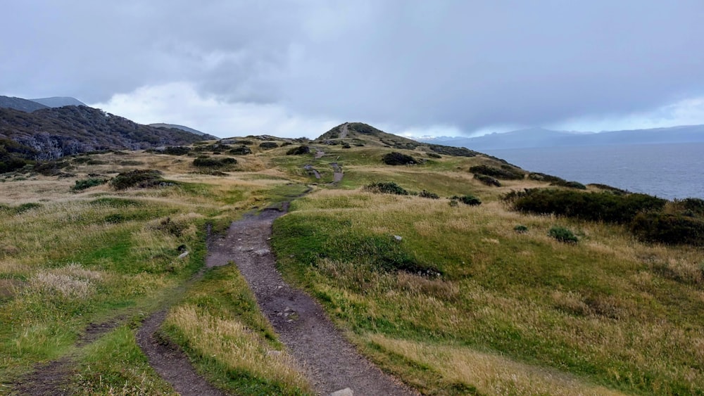 a path going up a grassy hill next to a body of water