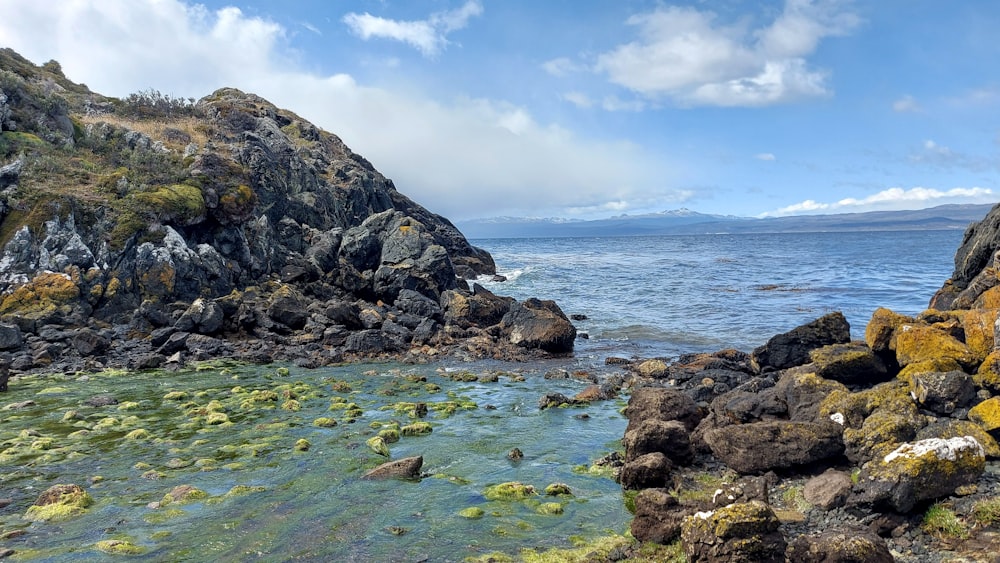 a body of water surrounded by rocks and algae