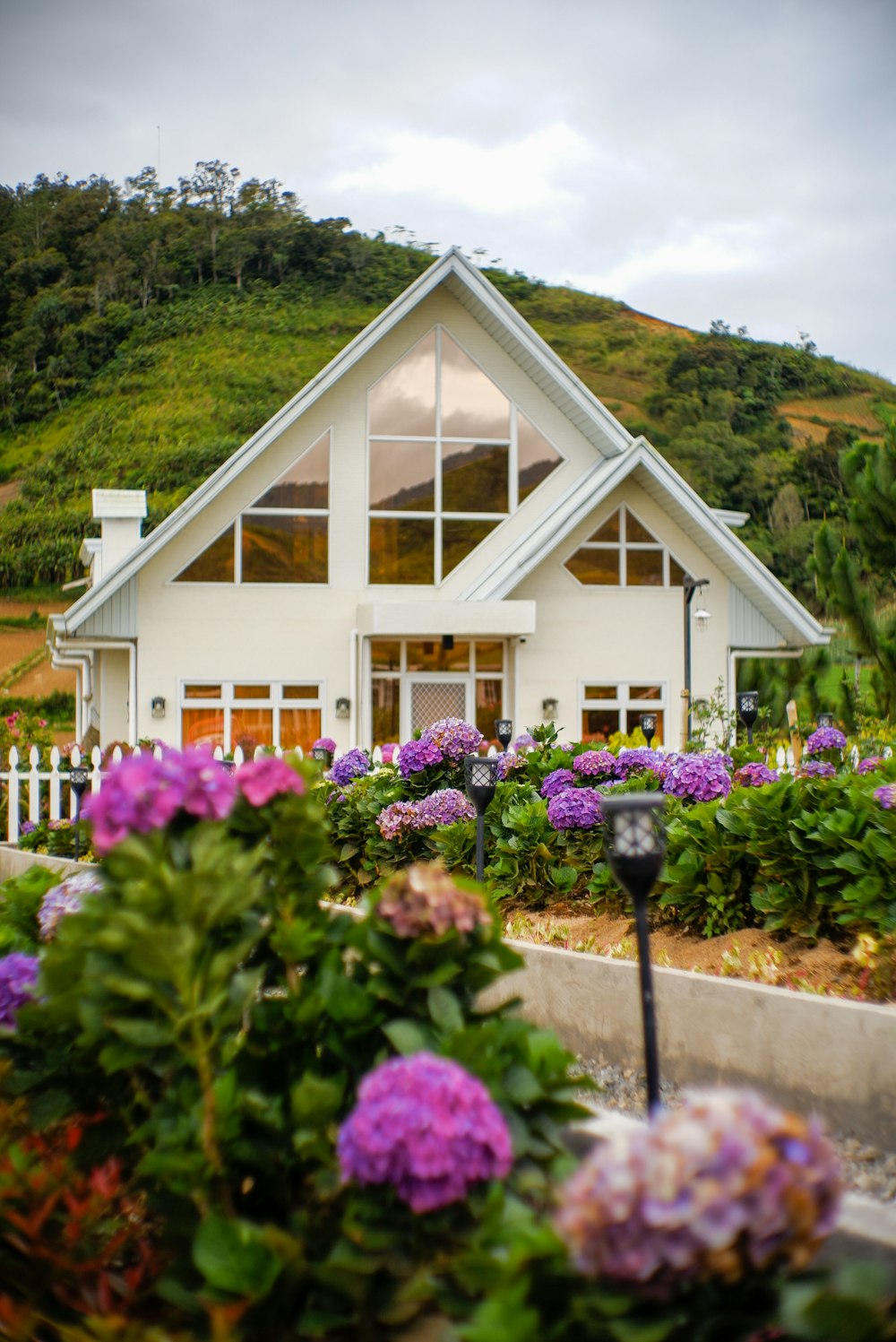 a white house with purple flowers in front of it