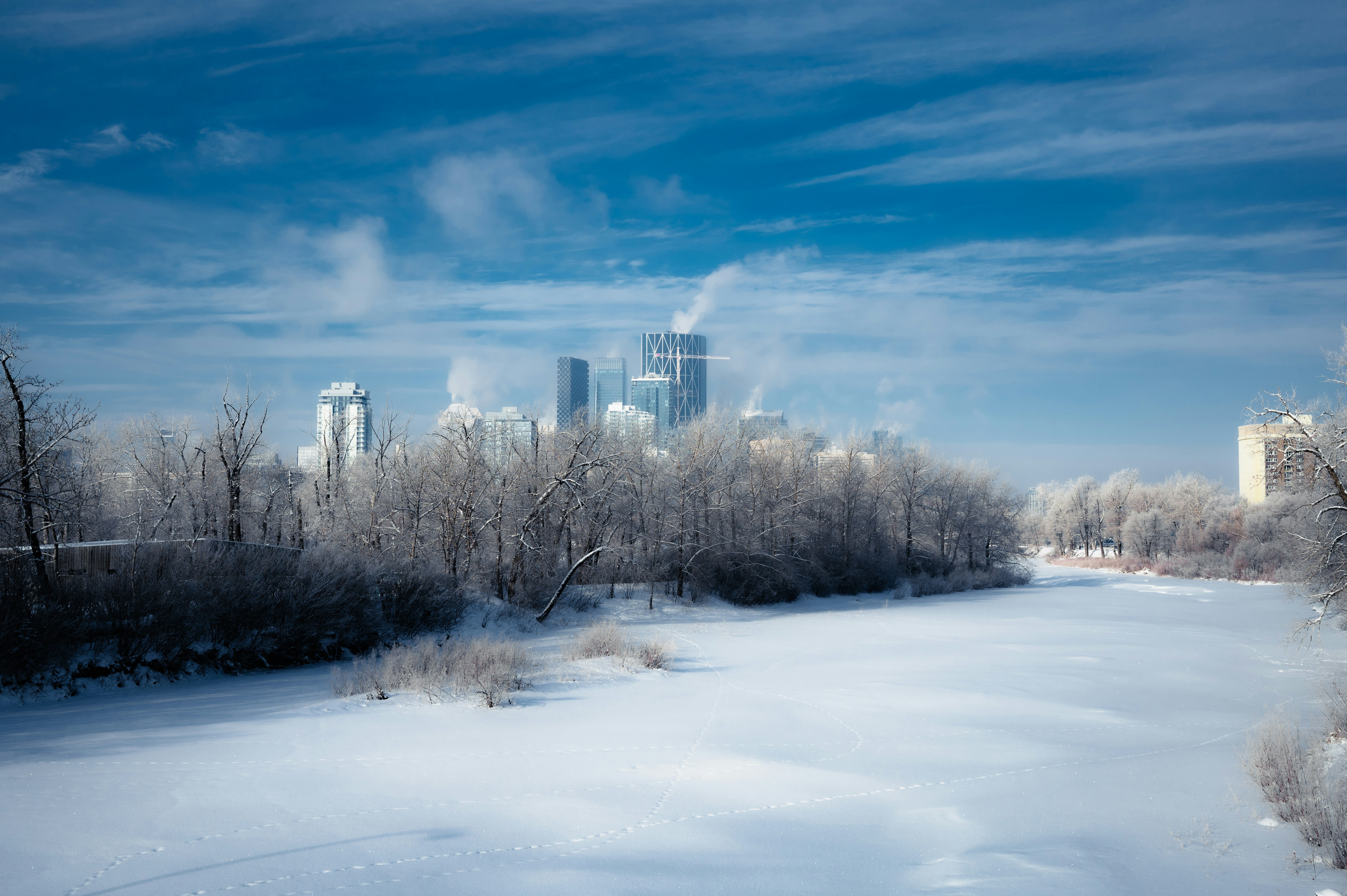 calgary winter